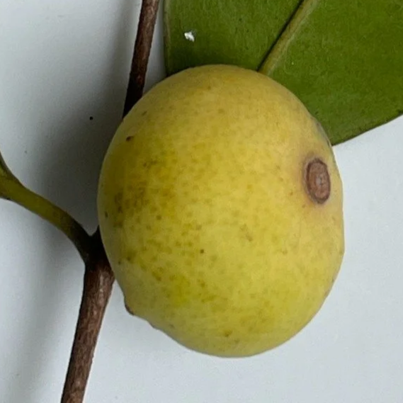 d8499f6f-abd4-4149-85ed-248374ee092d.png