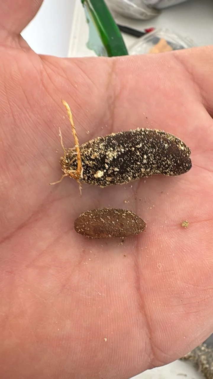 e7a57c72-2083-4abc-a467-3d10f5827825.jfif