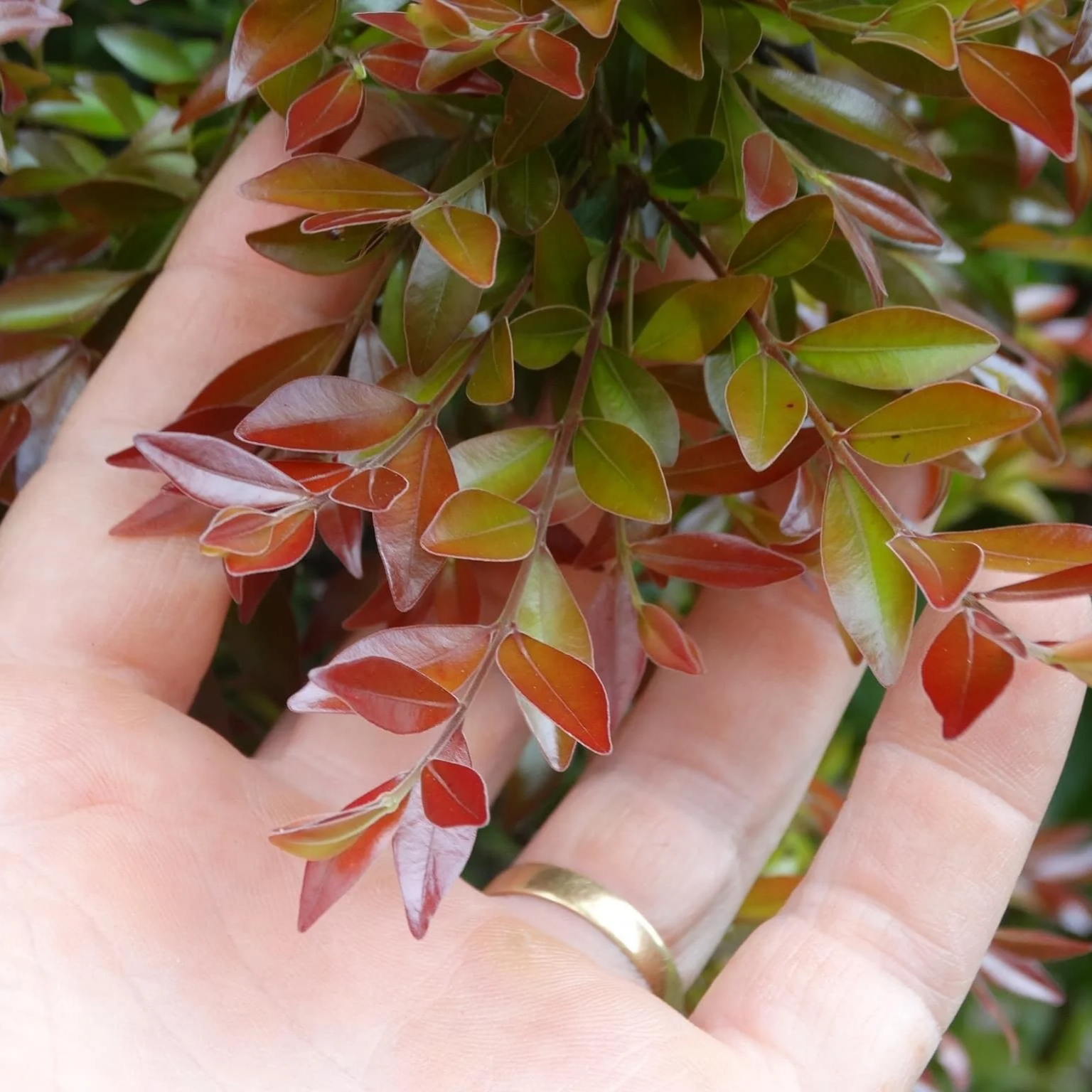 5C391975-93EA-468A-AA31-E71C7C6E44F4