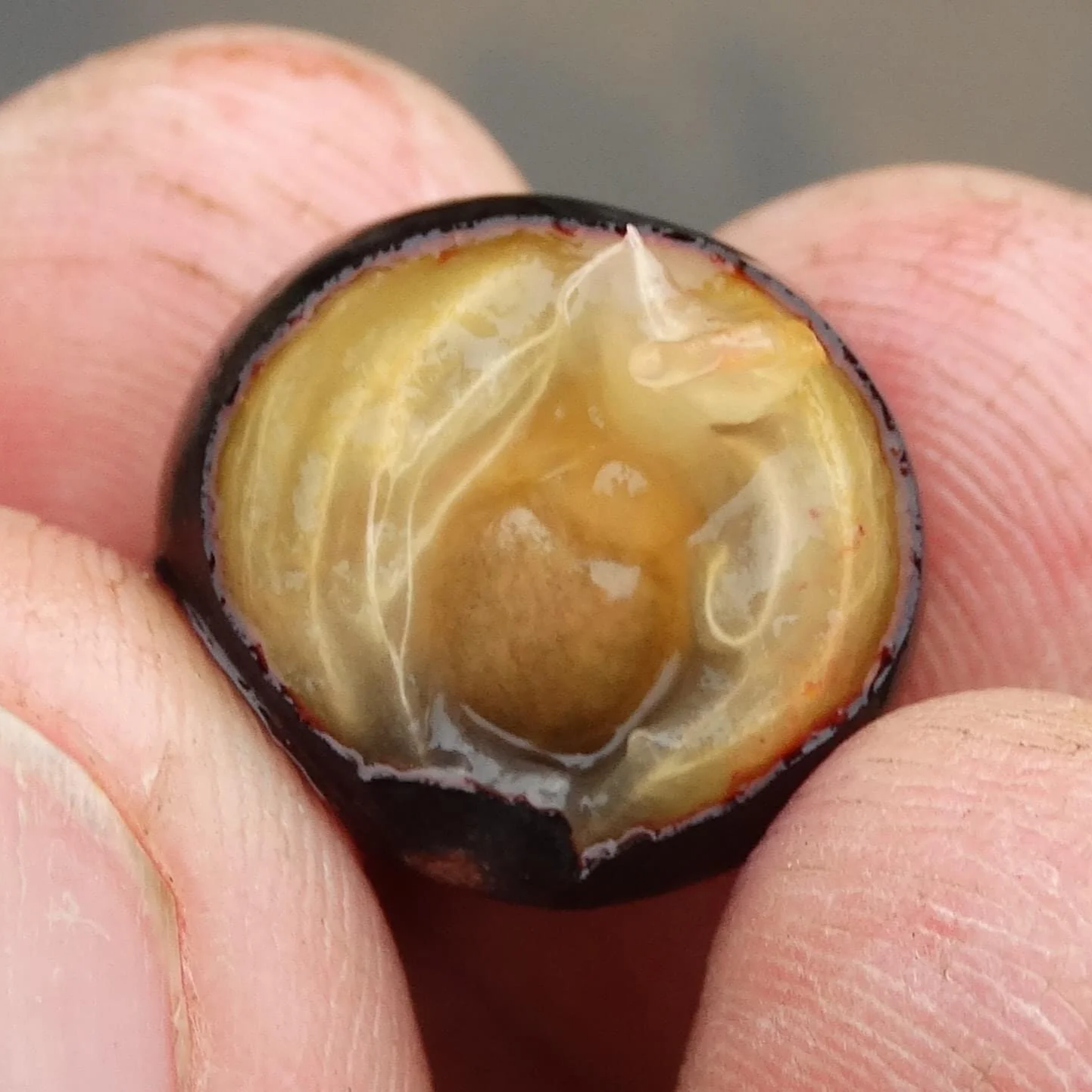 EC31A092-607D-44F2-9A9C-F77A5EFA919E