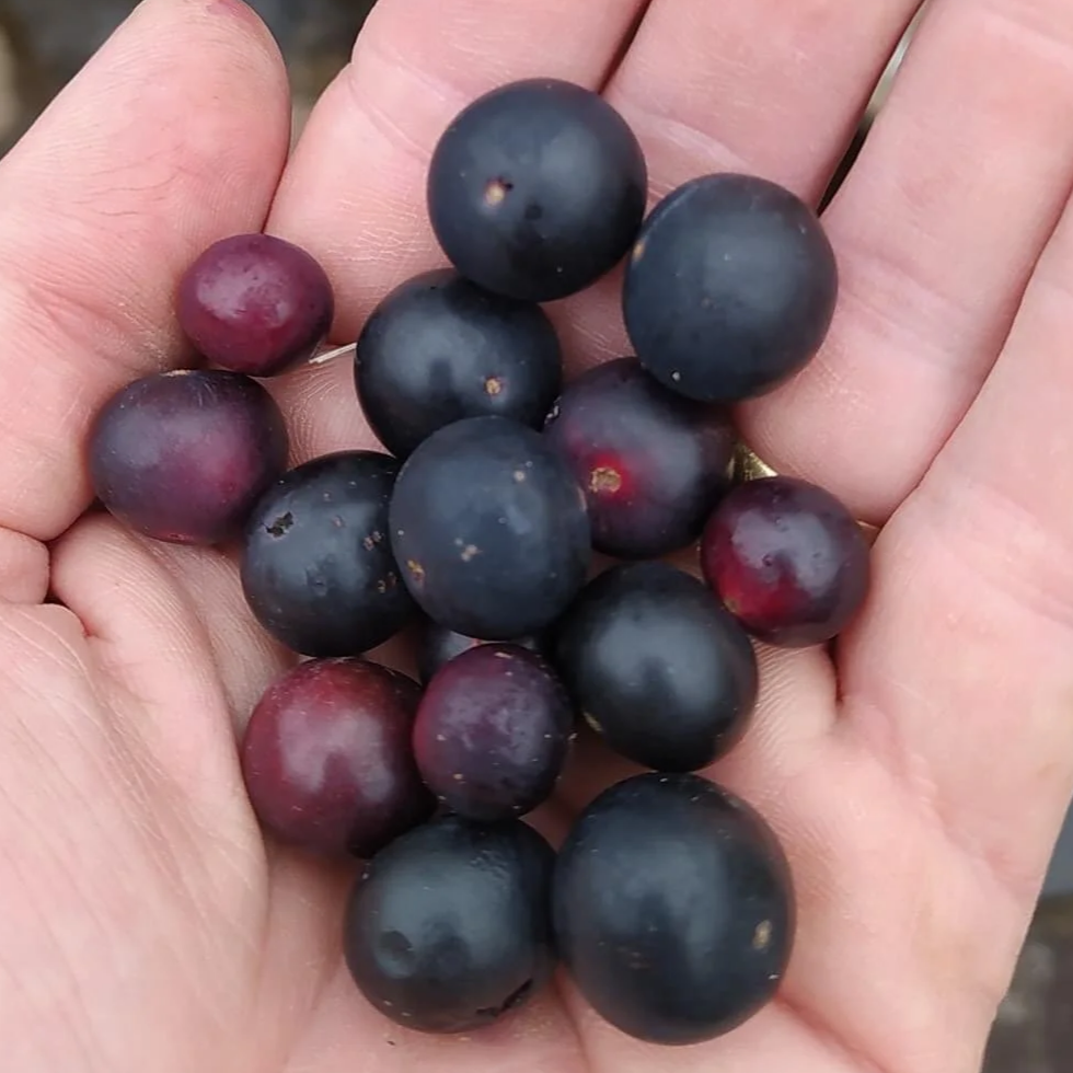 DD7F14CD-F897-4996-9833-7126F2799C80