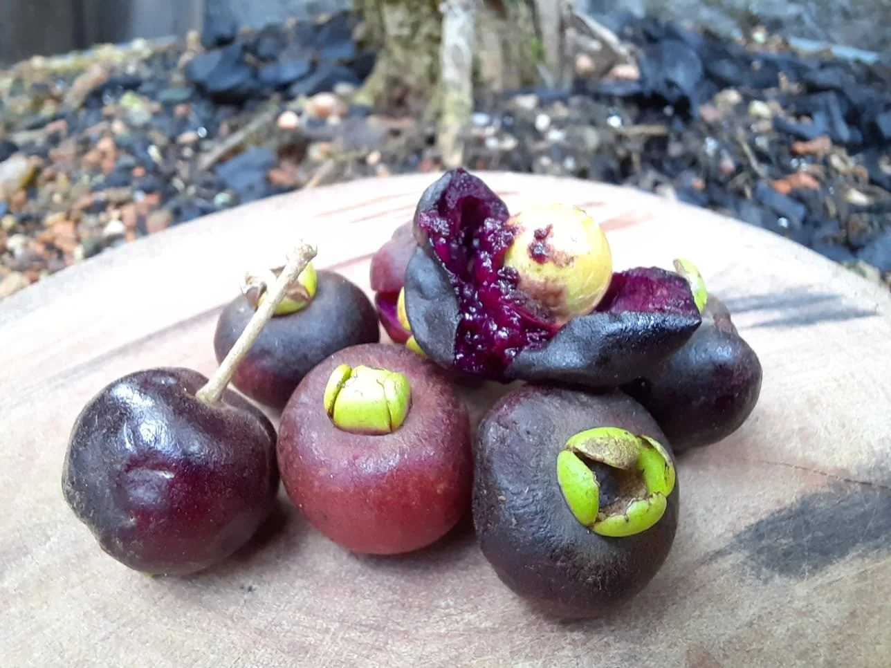 4c5543fe-9b9e-4cbc-a66d-56cc1bc5e5aa (1).jfif