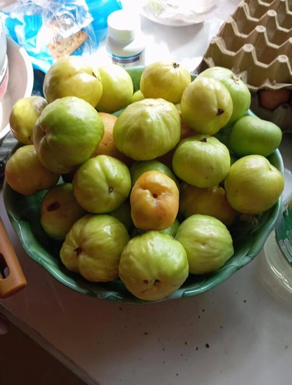 e6db0b31-86e9-4cc7-8741-7f488b8ada1e.jfif