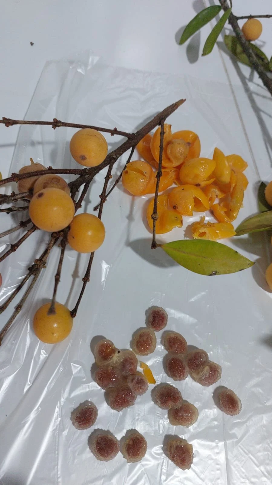 f0b0423d-97e3-476d-9a64-8f4f31b55416.jfif