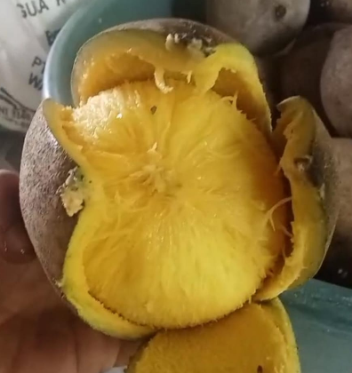 Screenshot 2026-02-08 160955.png