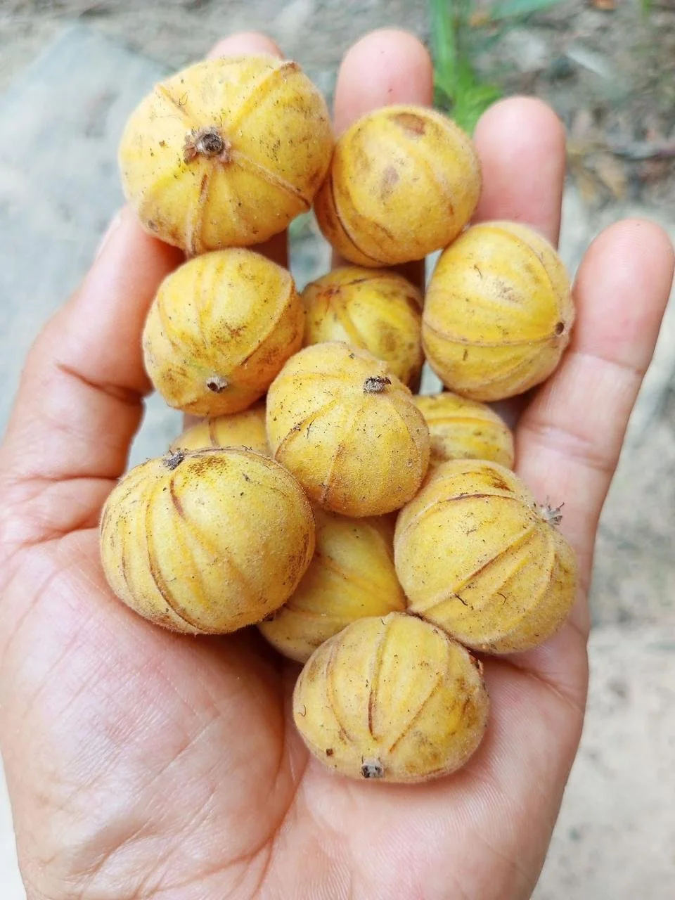 d7cb47a1-538b-4a71-887d-1c98c40a6f37.jfif