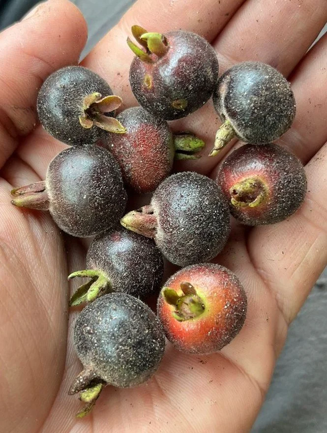 193b9dbd-6036-472e-b71a-3ba7b7949661.jfif