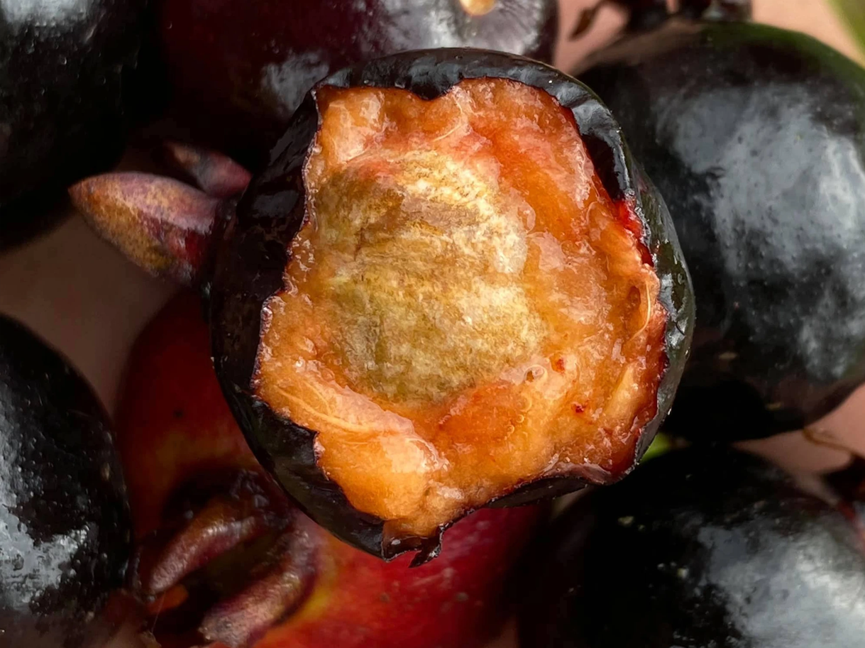 Screenshot 2026-03-22 155201.png