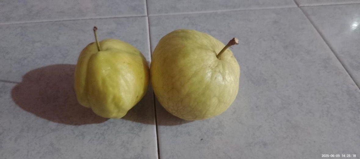 b58bf804-6074-48f1-a1cd-17a65dad254e.jfif