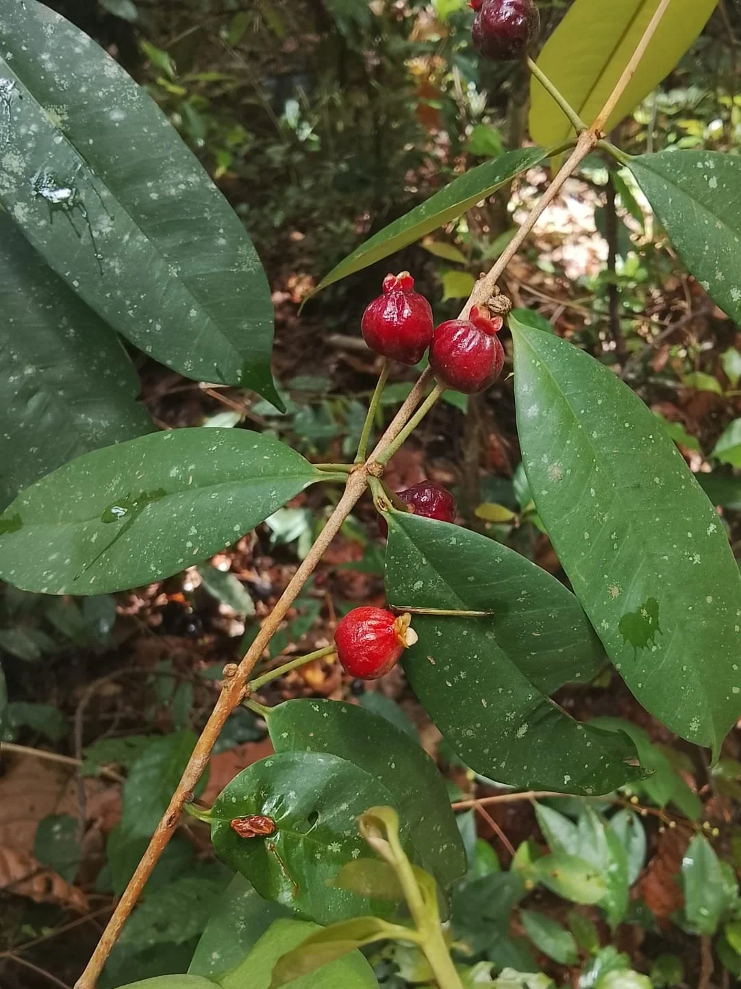 0d4a4603-25b6-4ee5-b97e-66e1237955cd.jfif