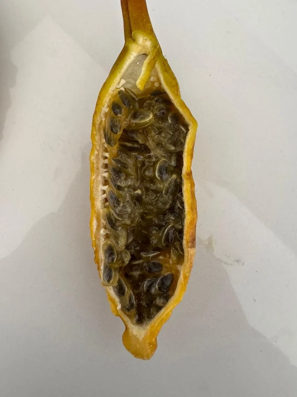 ef468375-6763-4835-acd4-7a72af38e8f8.jfif