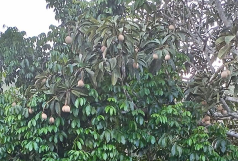 Screenshot 2026-02-08 161021.png