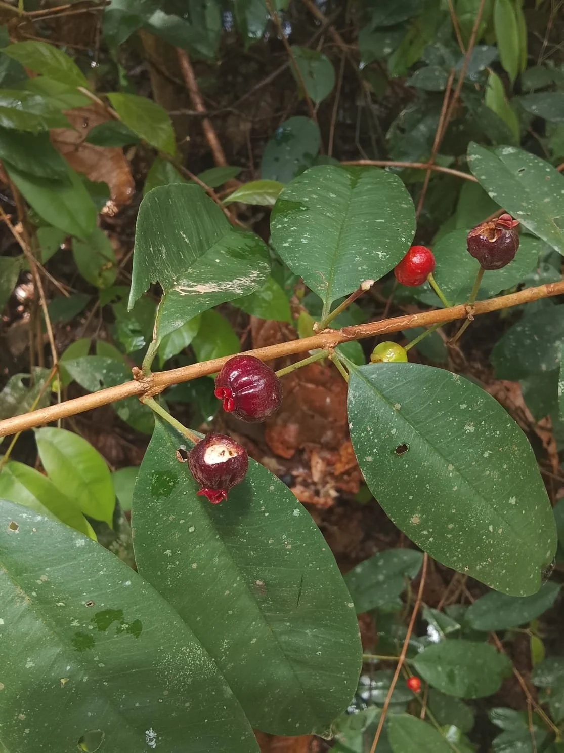 0cc5966e-6057-47c1-ba41-db6578d9a356.jfif