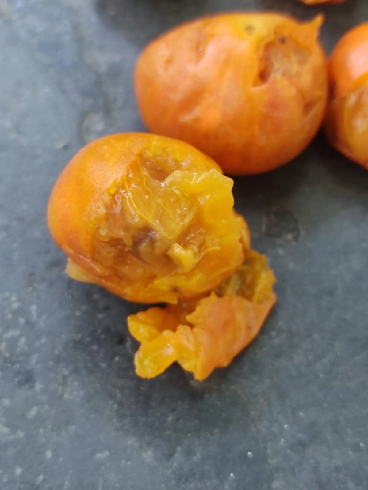 f0df2e68-0bbf-4390-9b59-627ac5565a6e.jfif