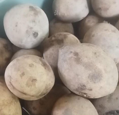 Screenshot 2026-02-08 161006.png