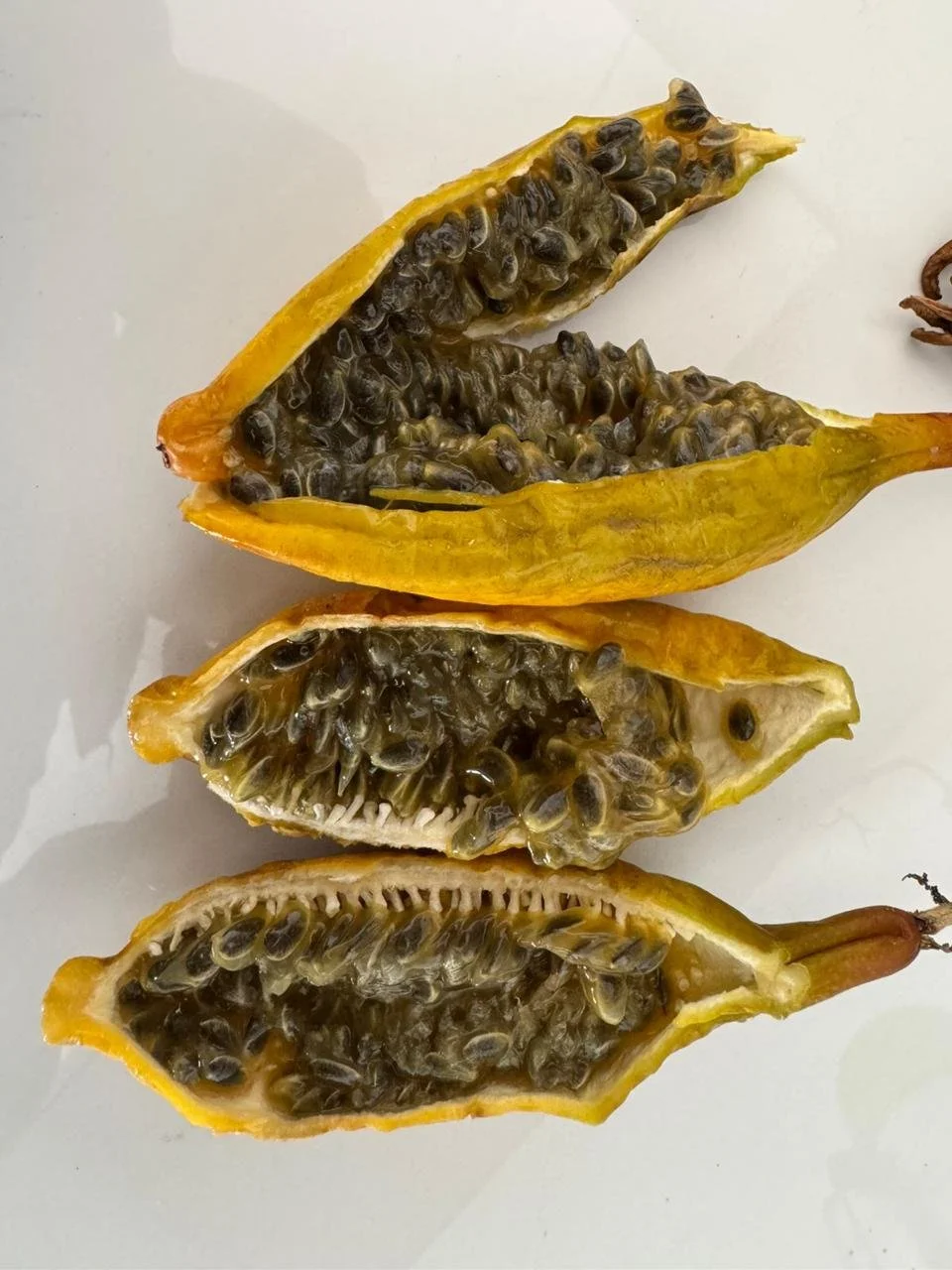 6ed03596-36f3-4d29-be05-7489943ef7cb.jfif