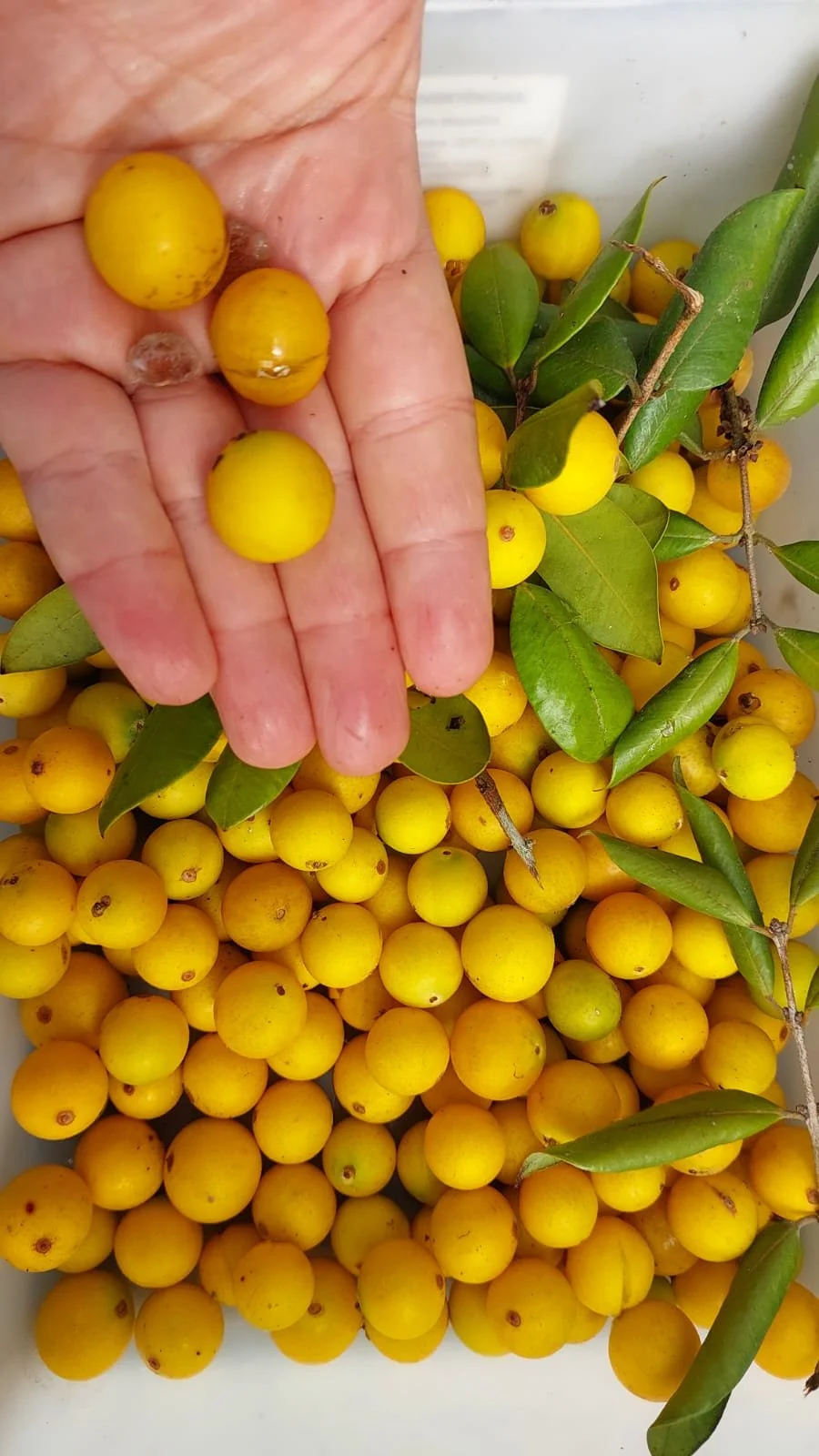 5d94e367-b9b5-457c-82ee-af48d8764d42.jfif