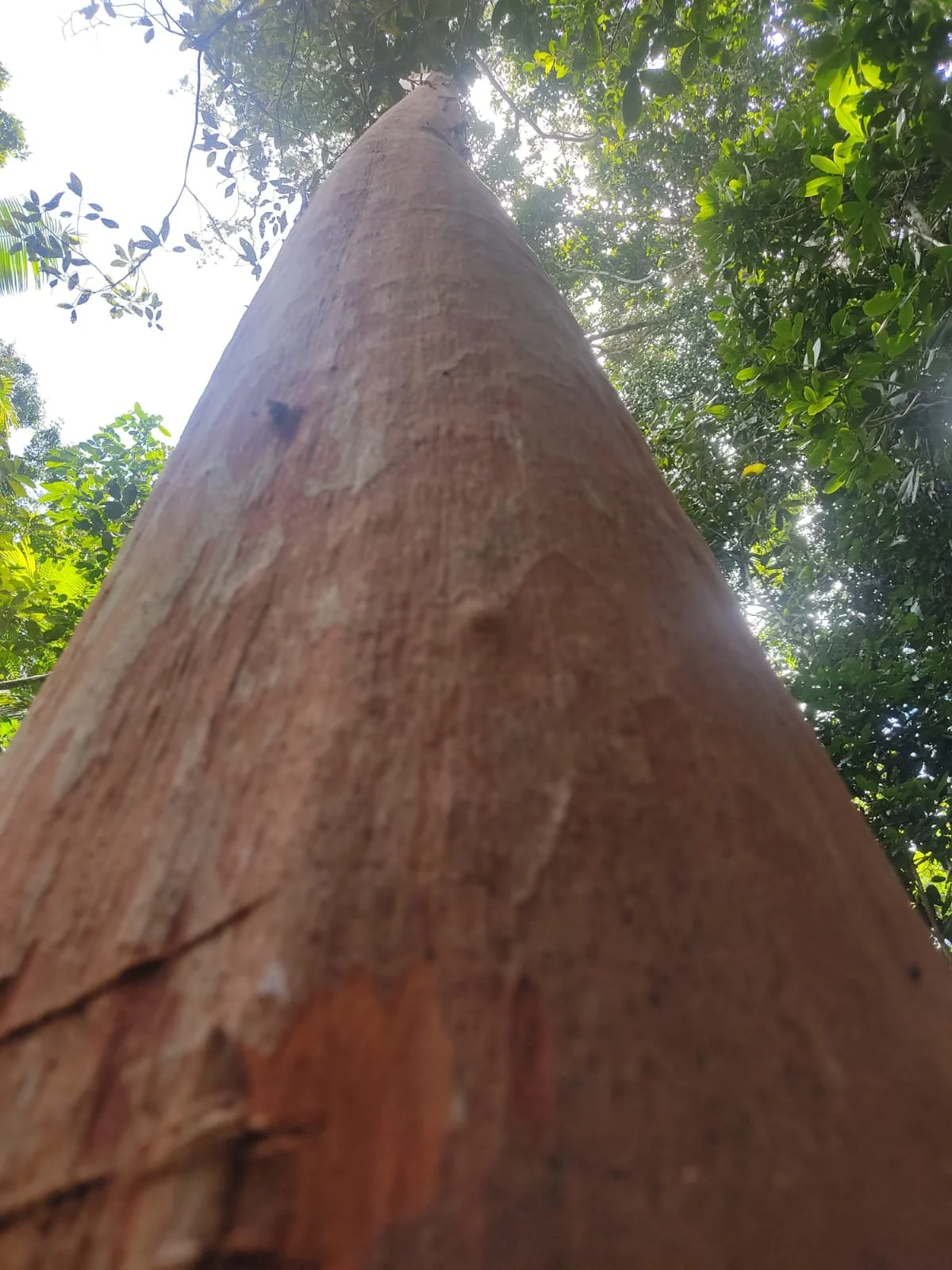 550a543f-e8f2-40eb-afe9-f84a50307451.jfif