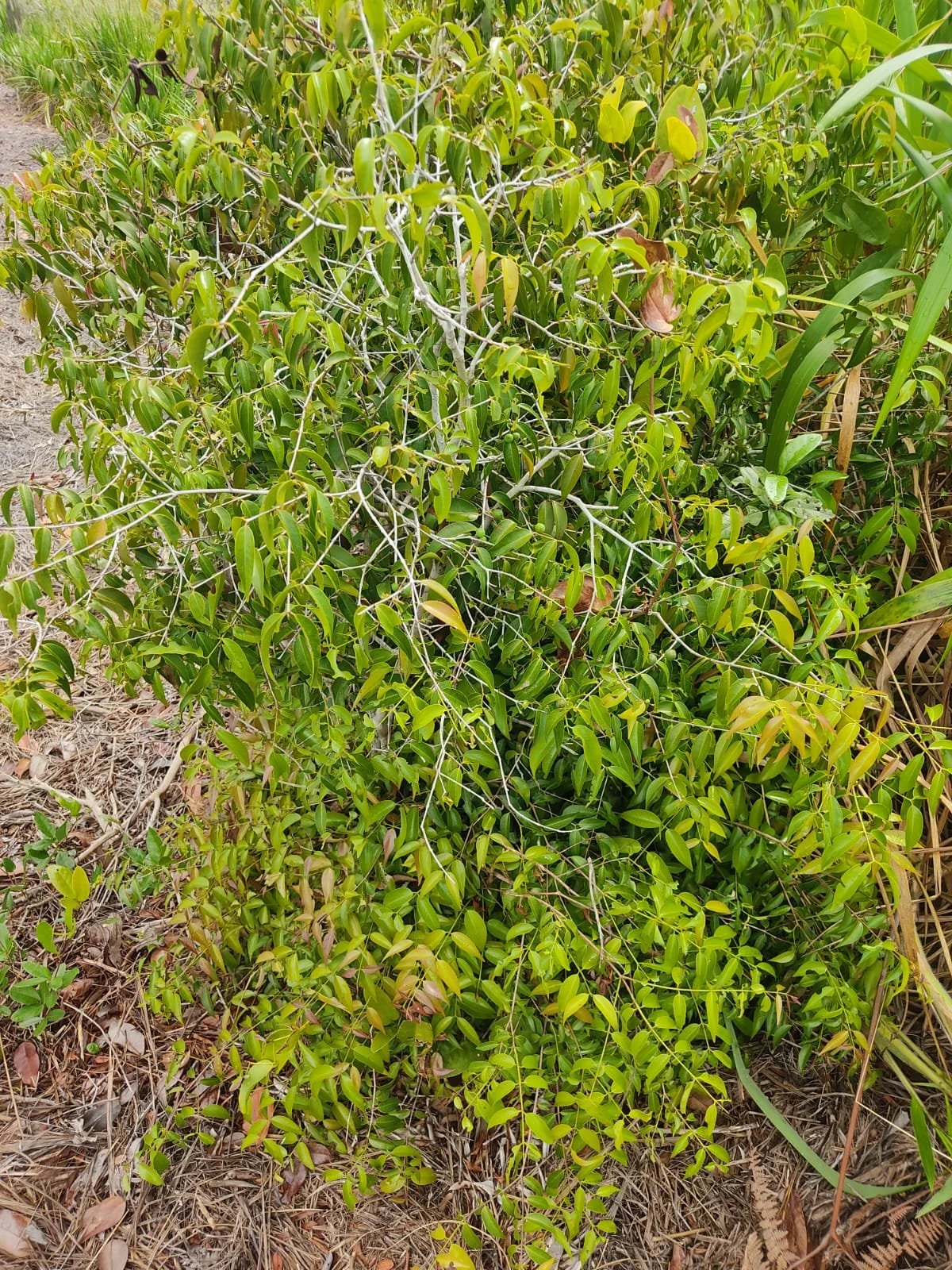 6d811099-22d2-49c1-89e9-f936a428182d.jfif