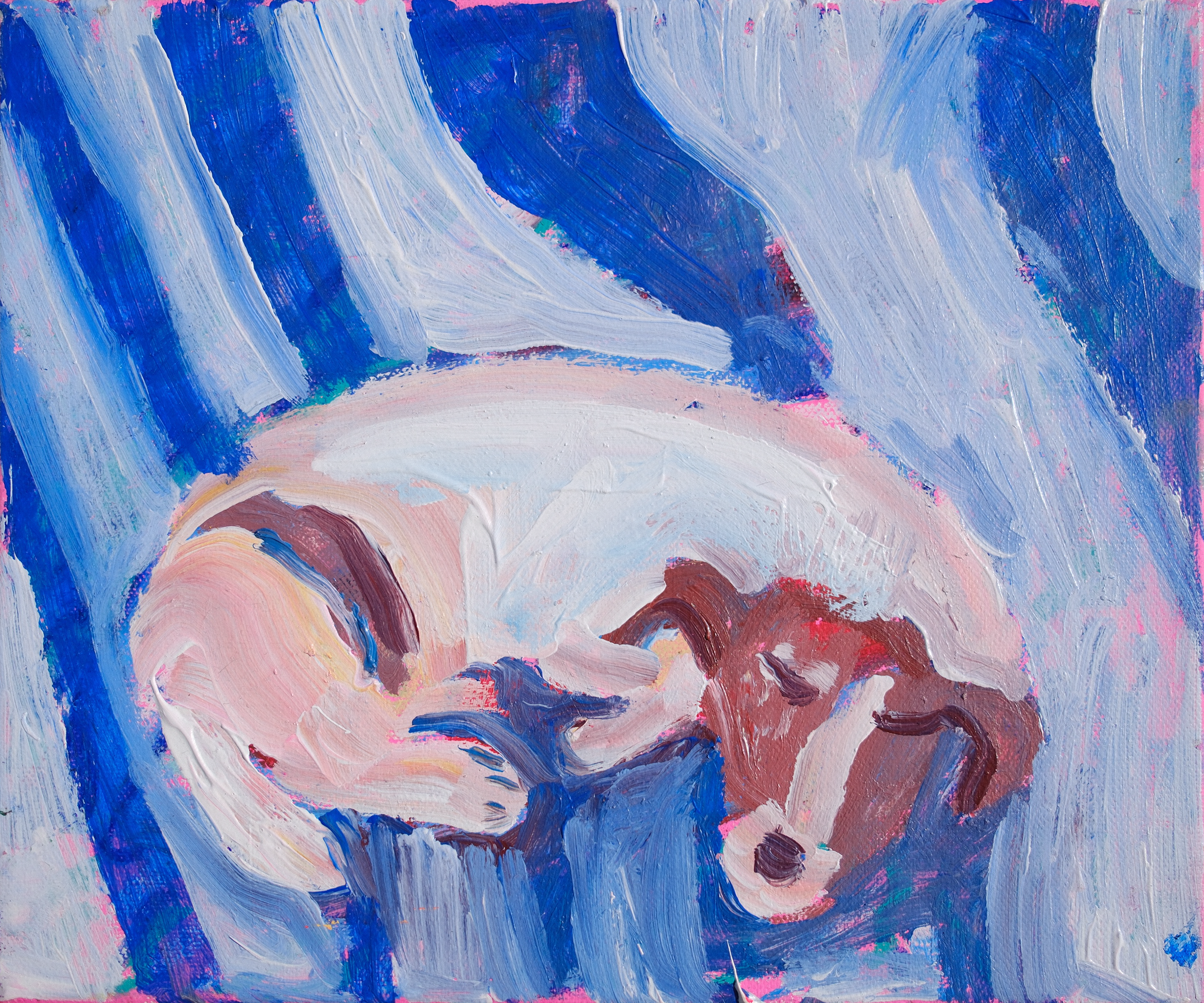 Tiny Dog_30x25cm_£725.png