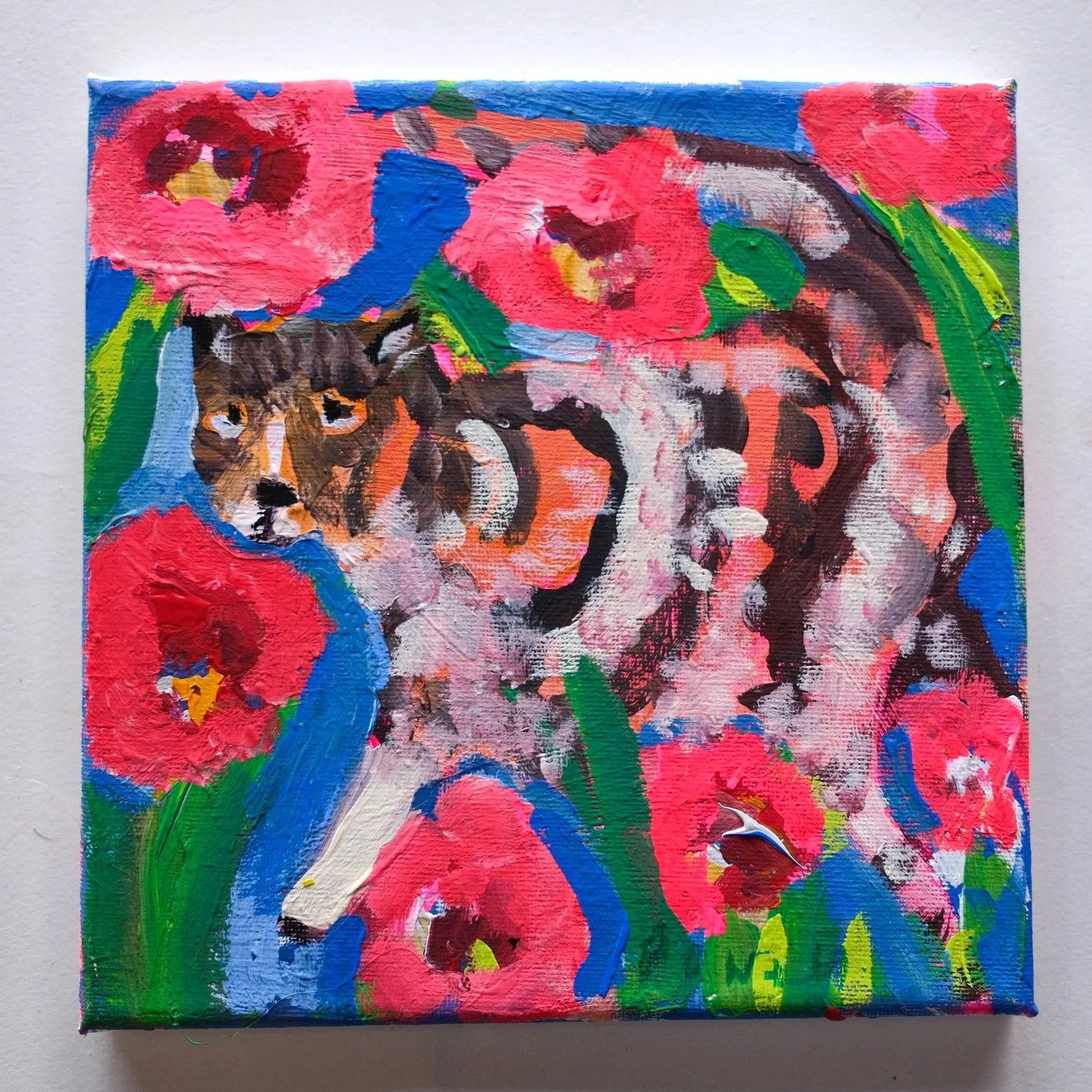 Cat Thinks He's A Tiger