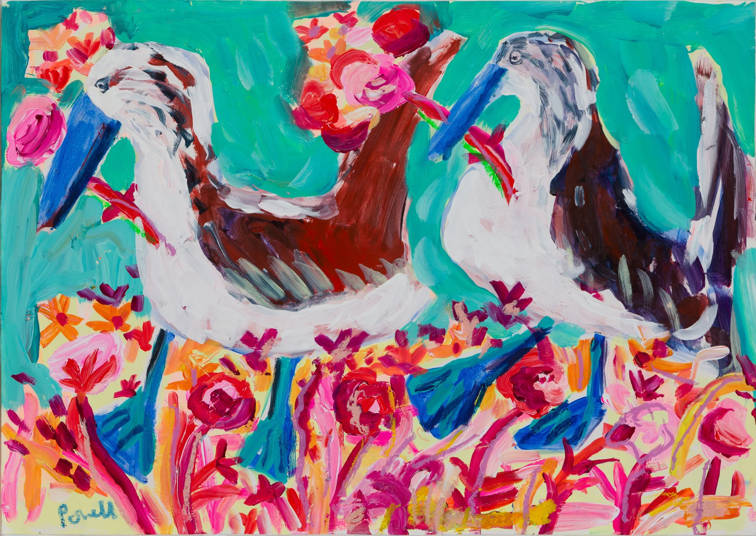 Blue Footed Boobies Picking Flowers