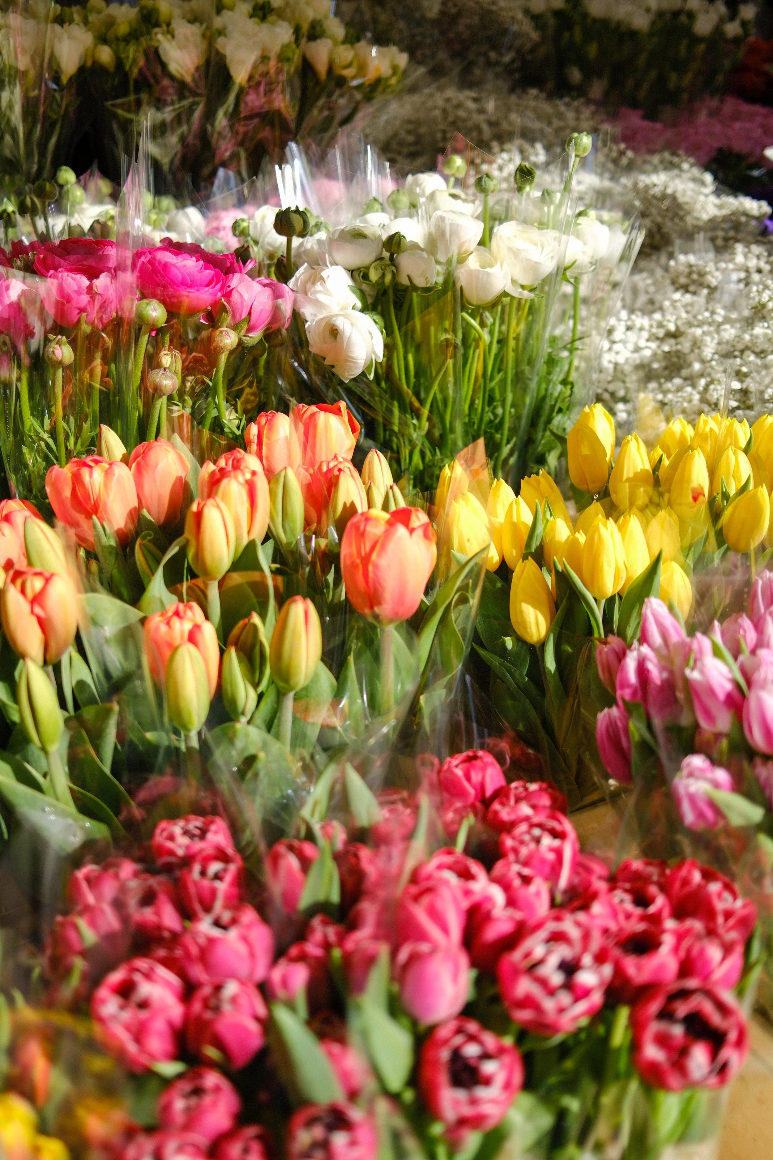 Columbia Road-23.jpg