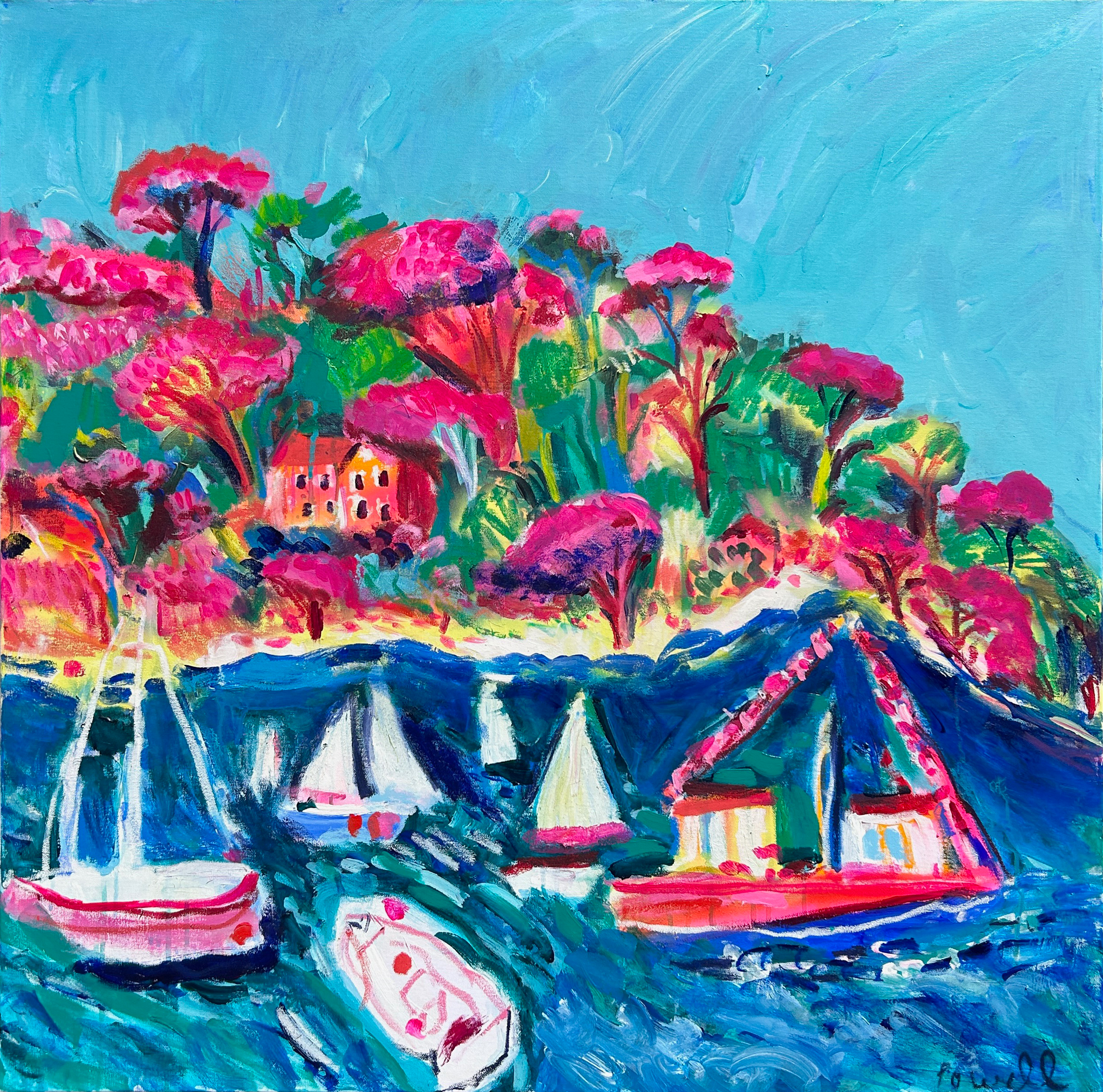 Regatta Week This Whole Place Bursts Into Colour
