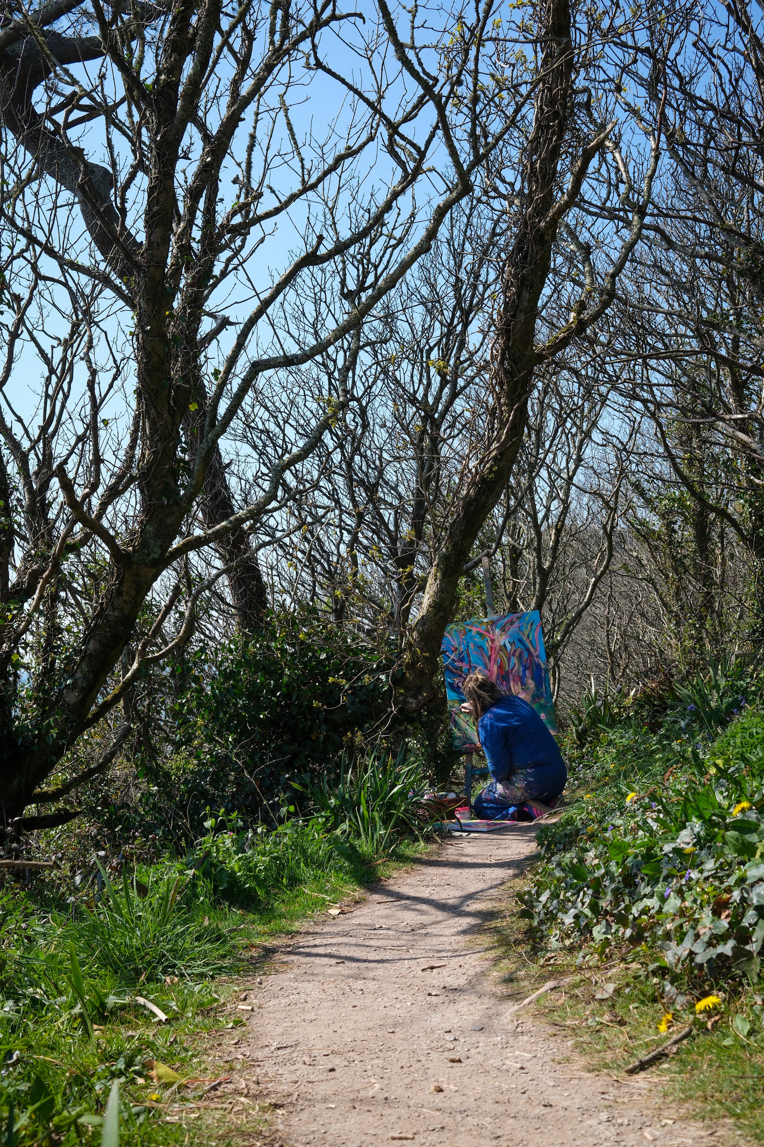 Mothecombe_Apr25-20.jpg