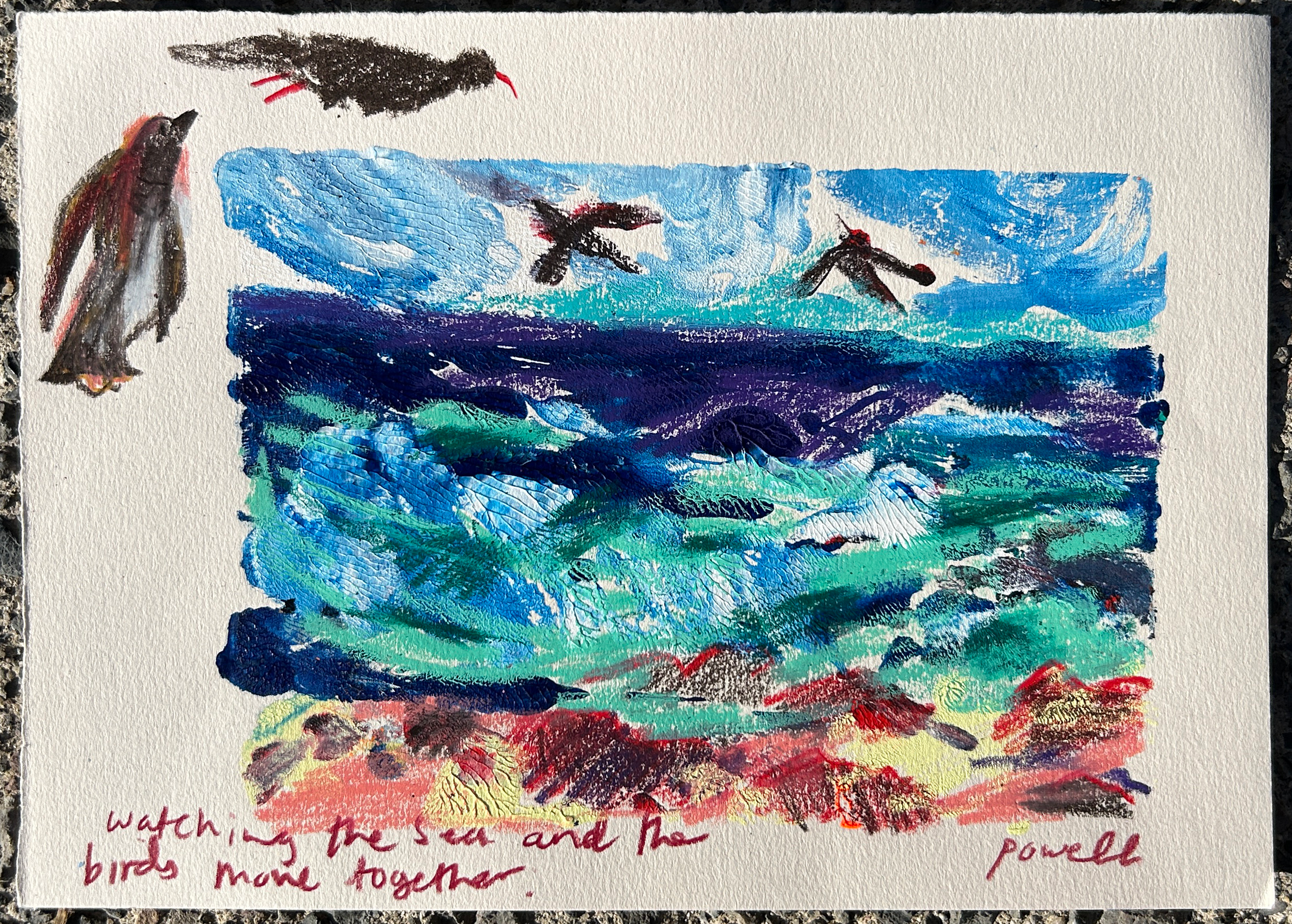 Watching The Sea And The Birds Move Together