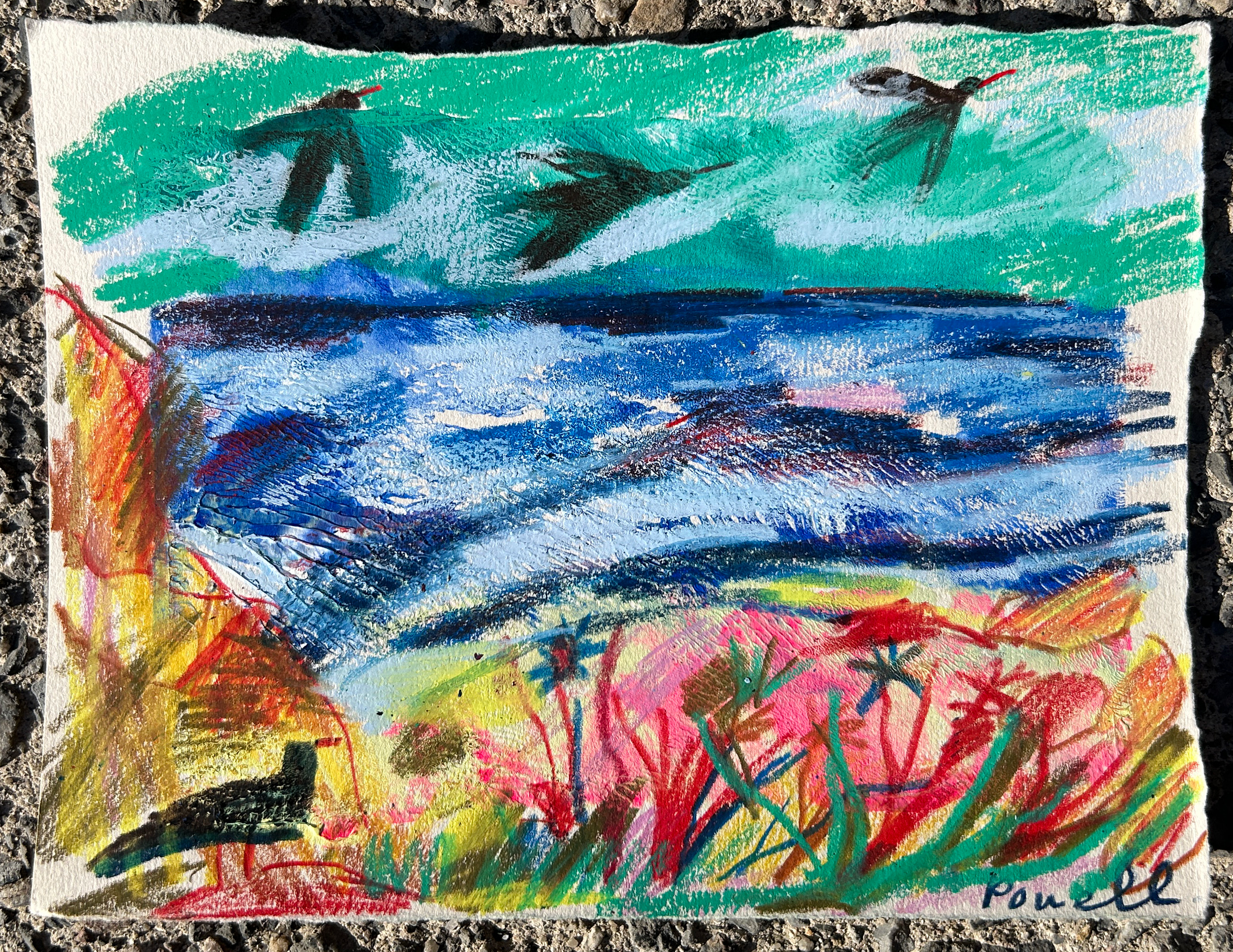Choughs 2_20.5x16cm_£200.png