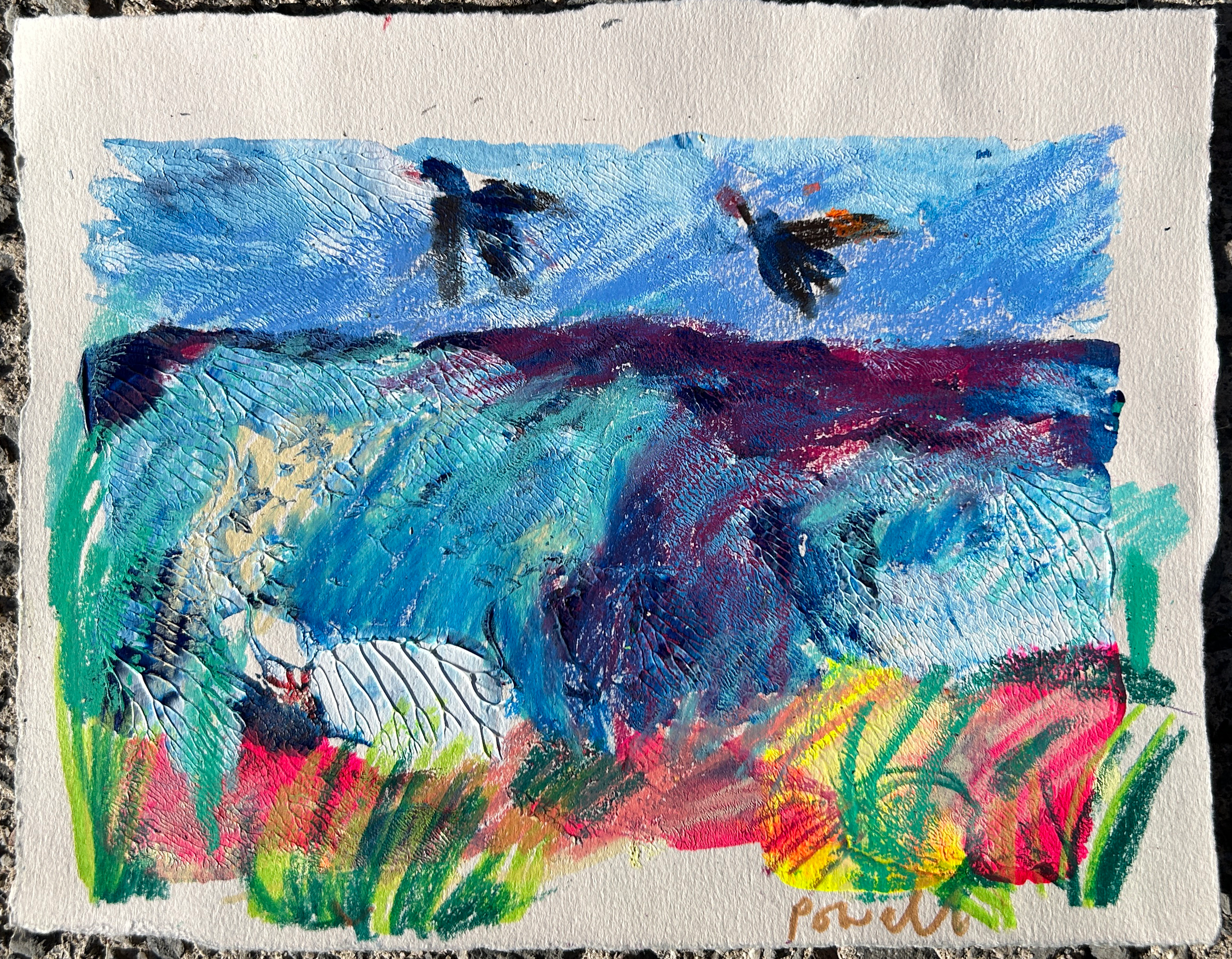 A Pair Of Cornish Choughs