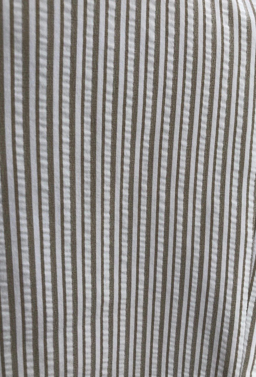IMG_3255.jpeg