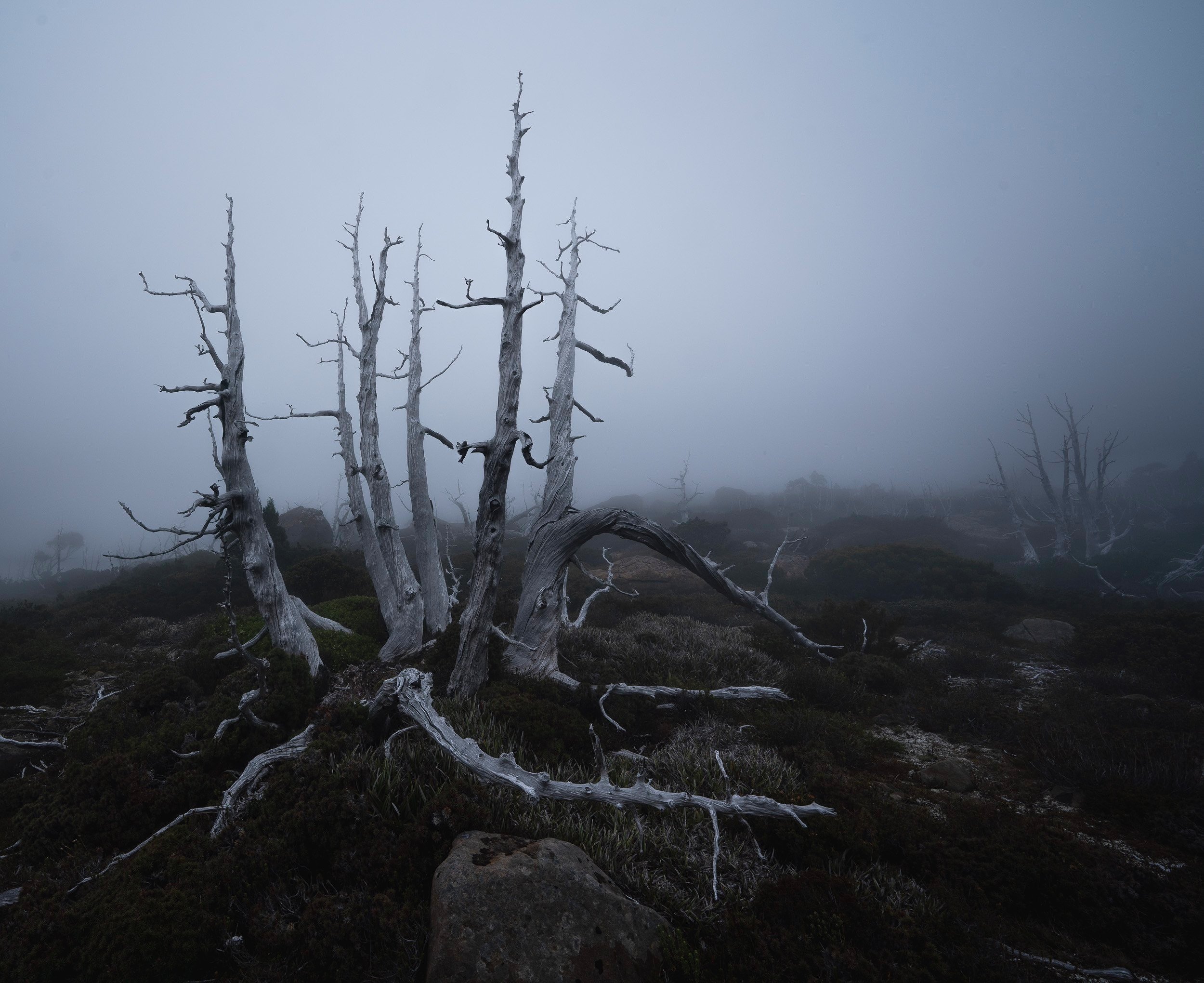 _DSC9424-4.jpg