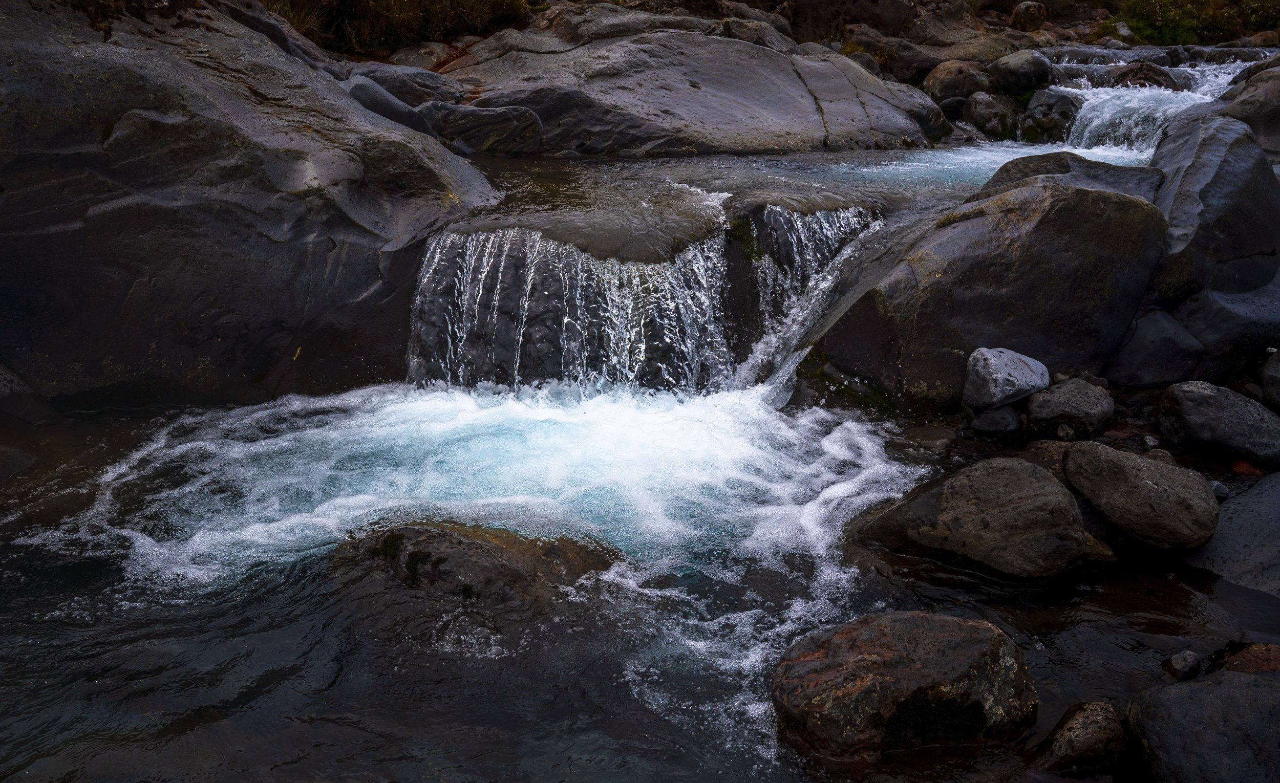 _DSC0399.jpg