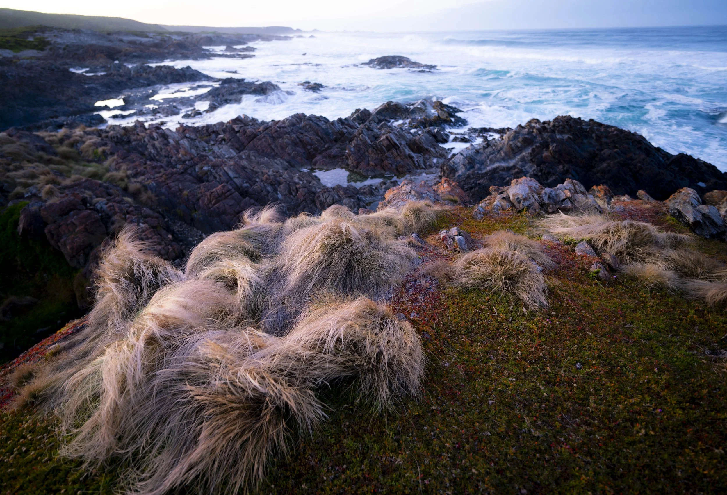 _DSC4678.jpg