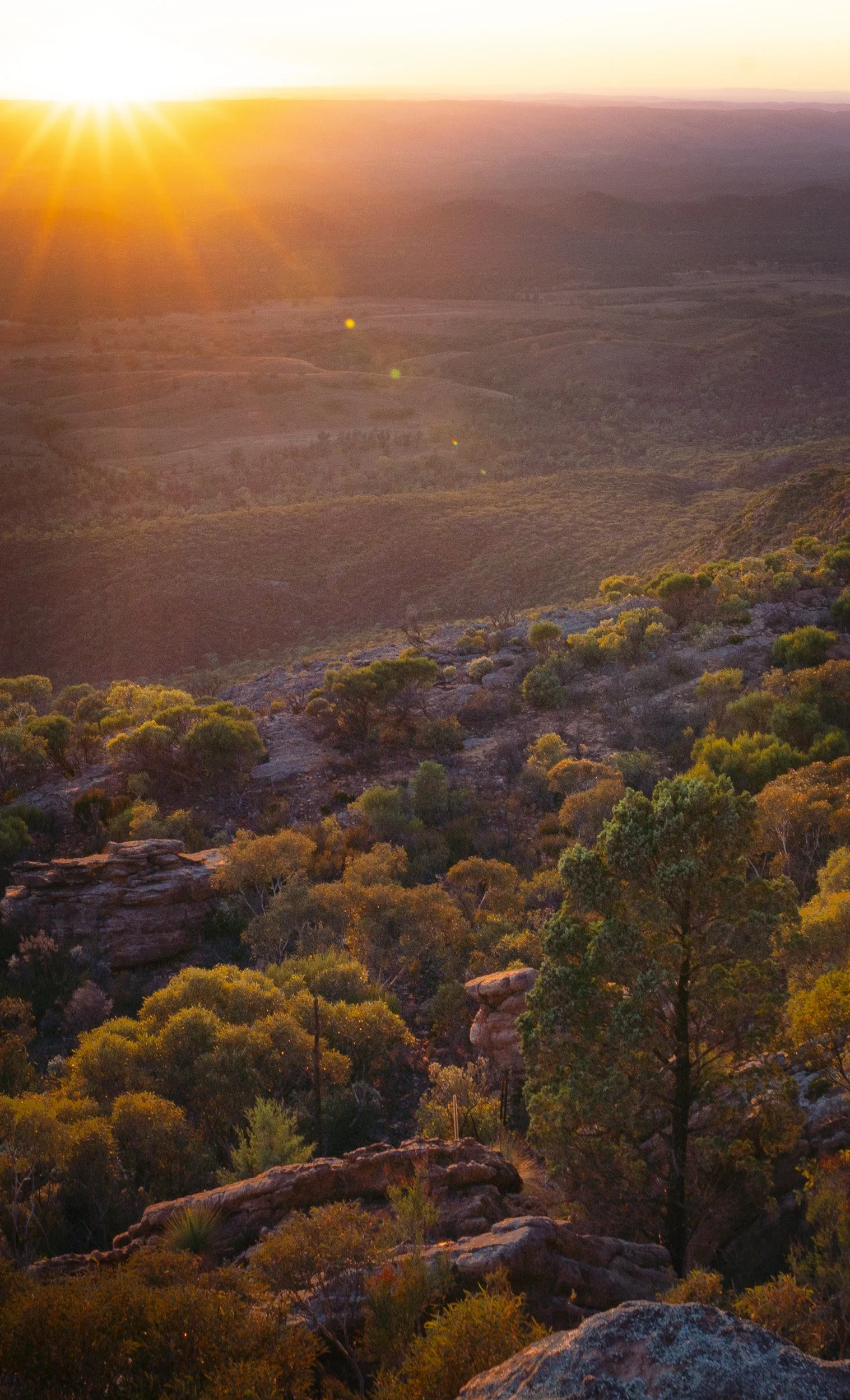 _DSC8405-Pano-3.jpg