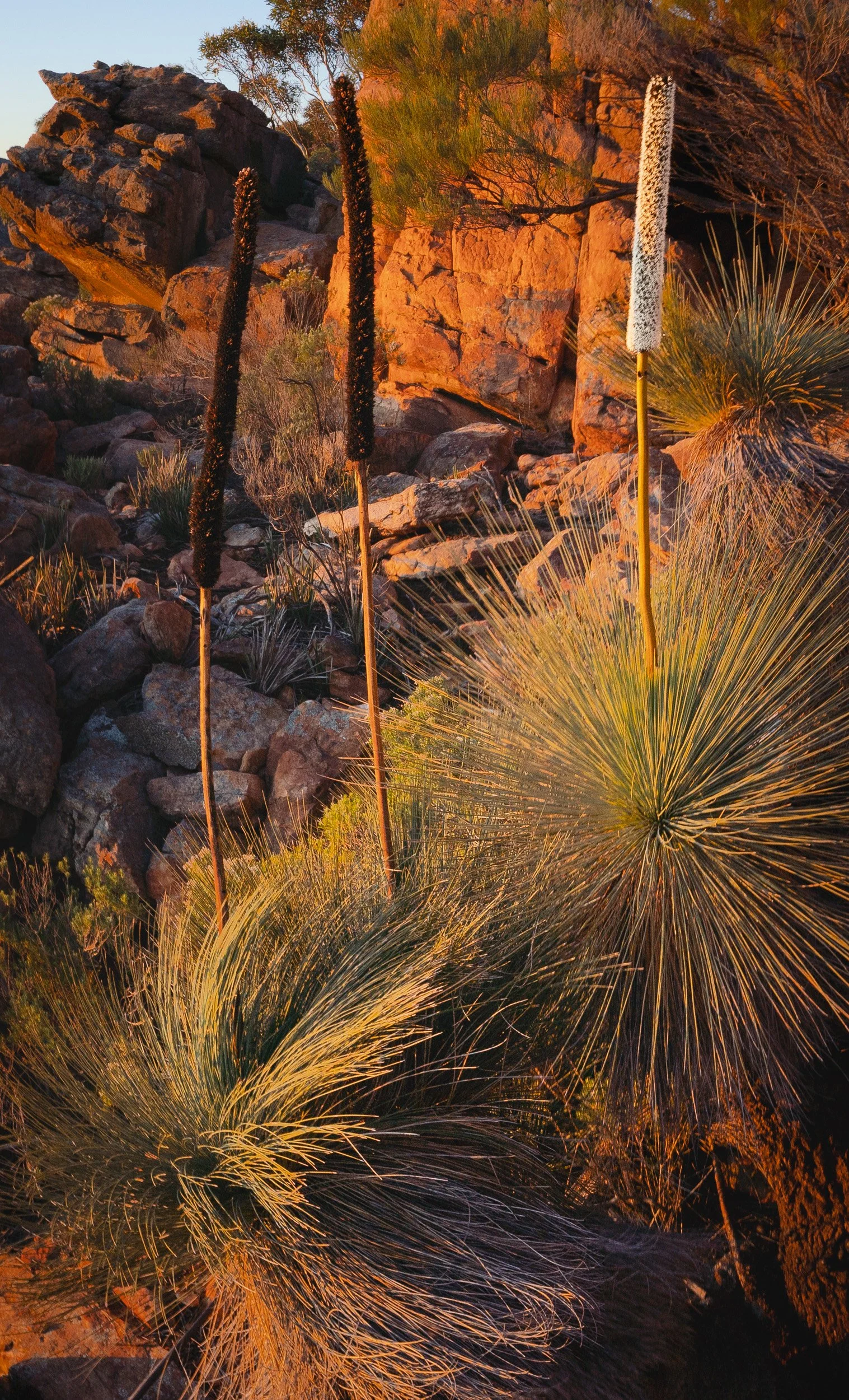 _DSC8405-Pano-2.jpg