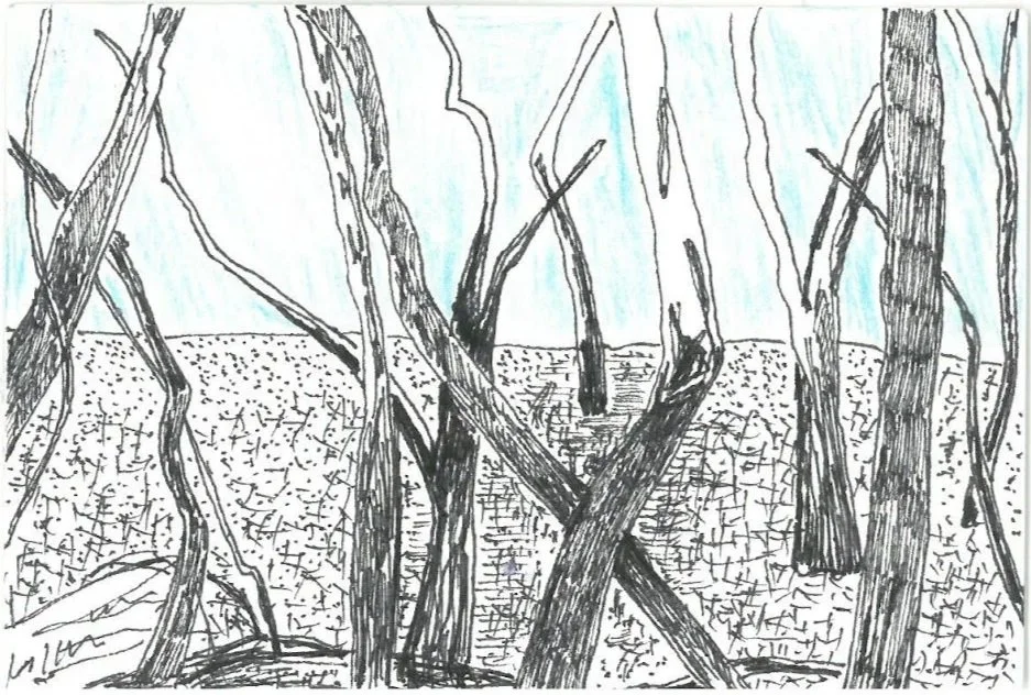 Postcards3_2020-21_JPEG.jpg