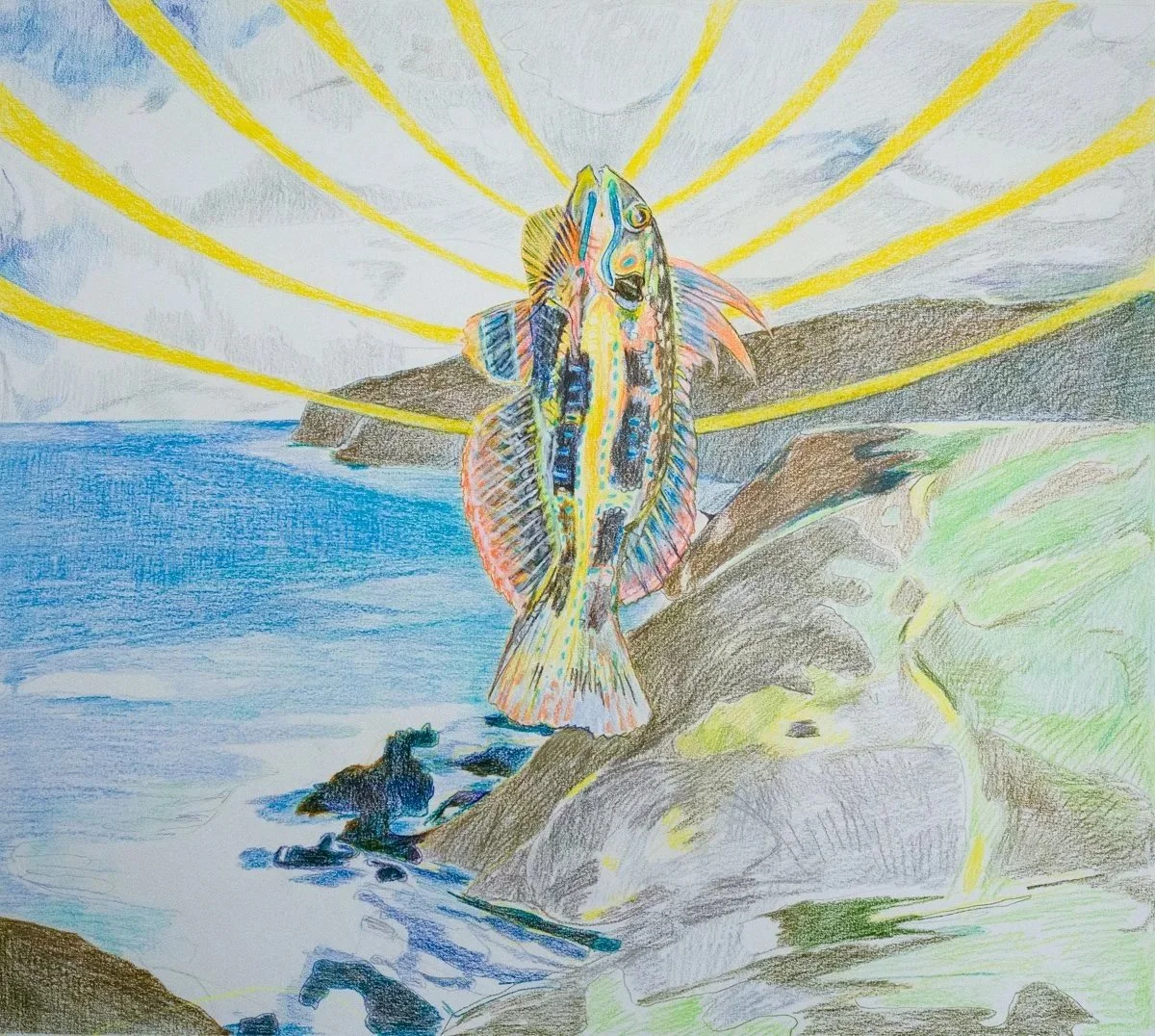 Behold, the rainbow cale, 2025. Pencil on paper, 52 x 58 cm (Photo: Ana Koch)