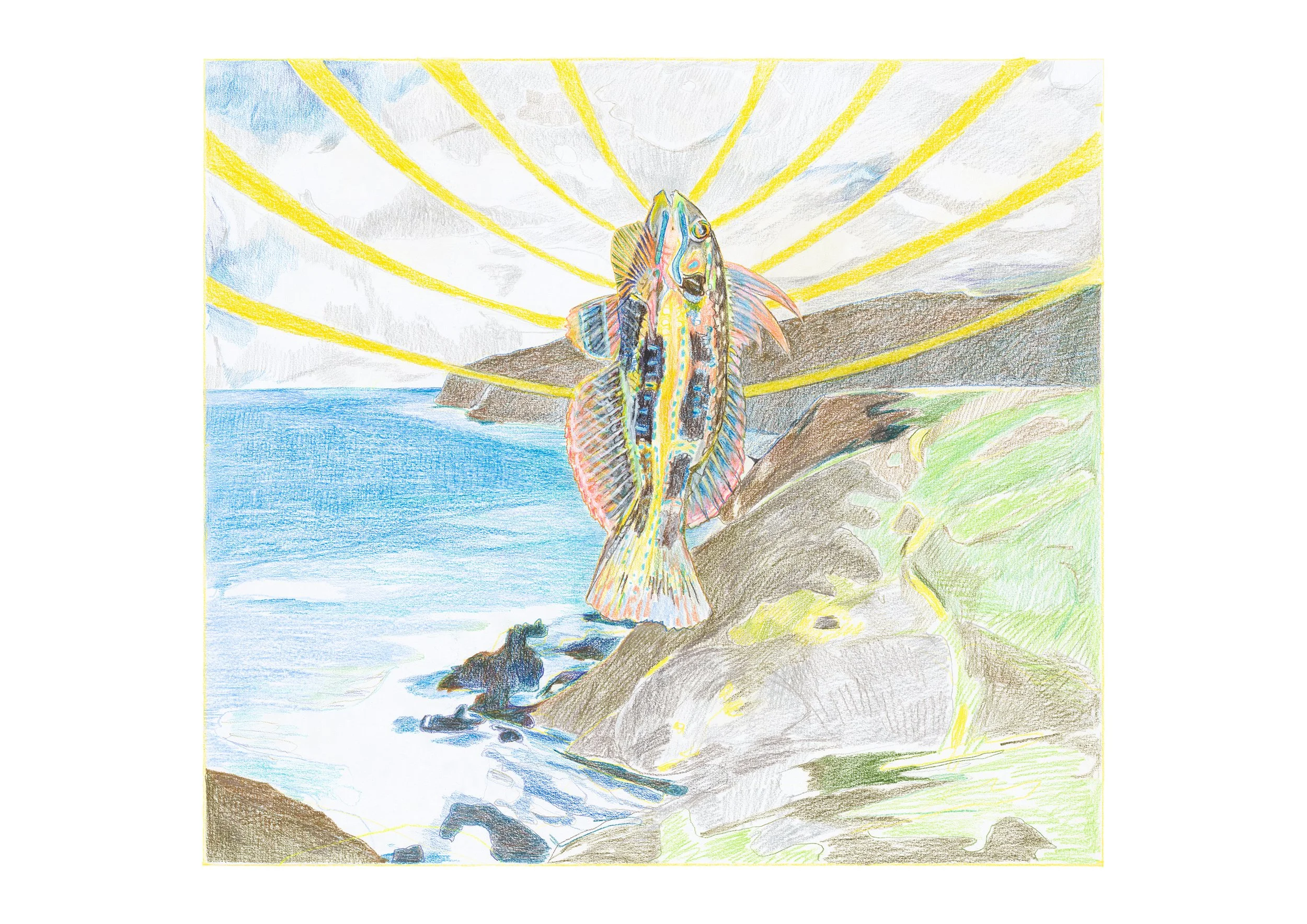 Behold, the rainbow cale, 2025. Pencil on paper, 52 x 58 cm