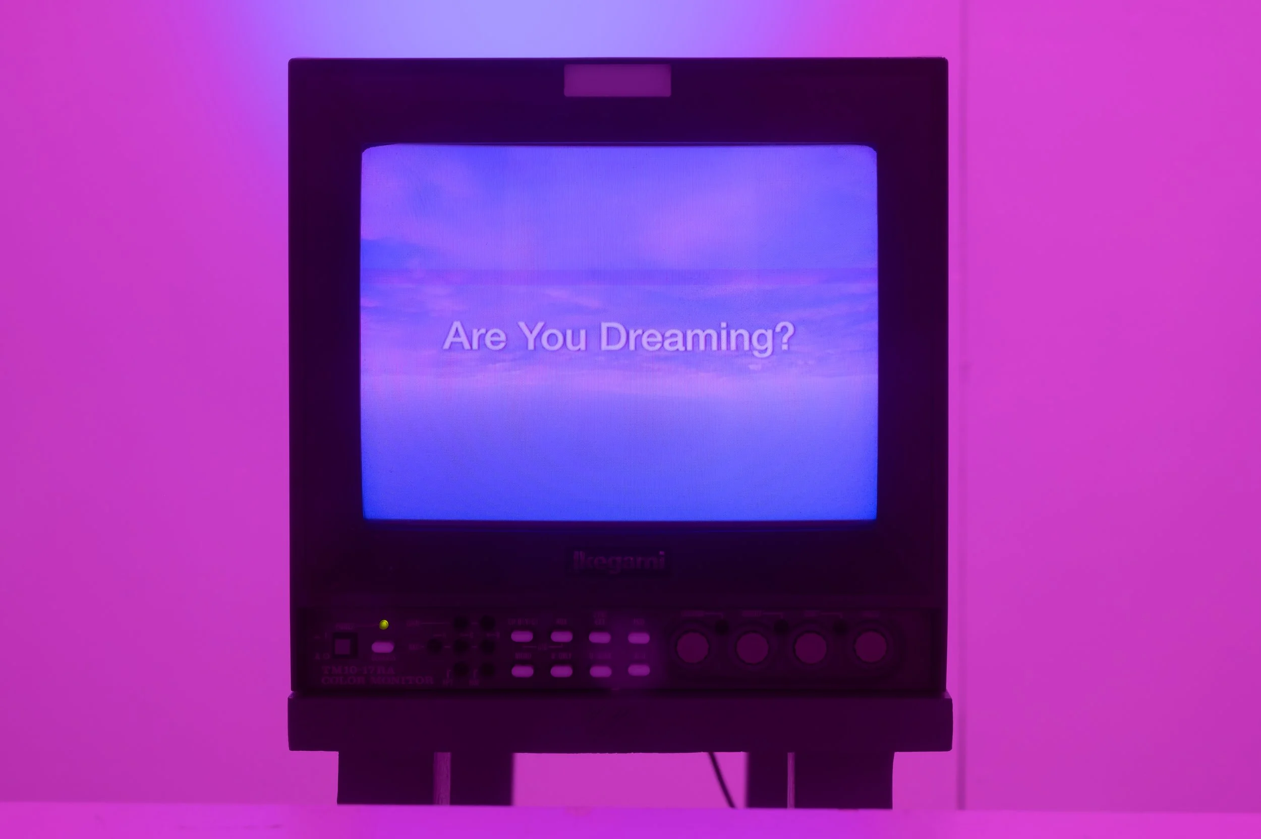  Department of Dreamtime  (2022–23). Installation view, Project Space, CCA Derry~Londonderry