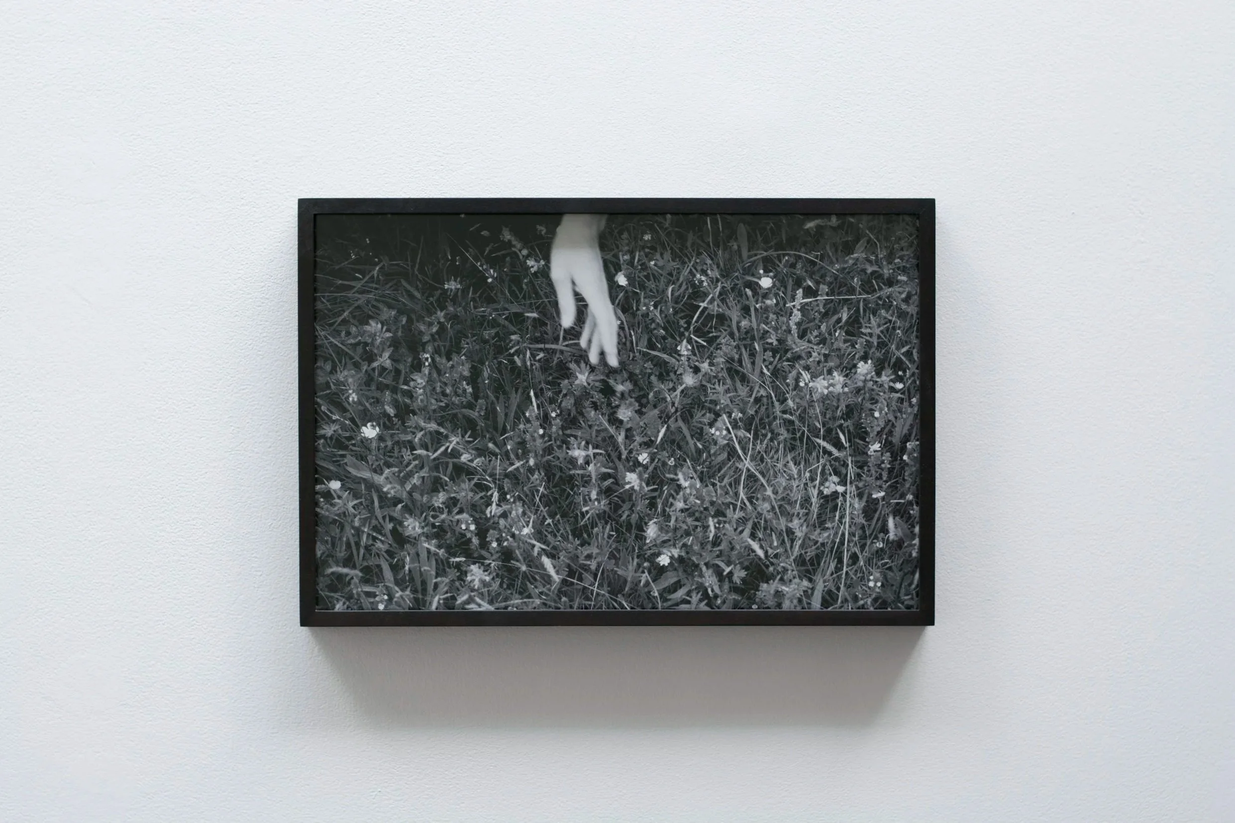  Meadow Demonstation 1  (2025). Installation view, mother's tankstation, Dublin