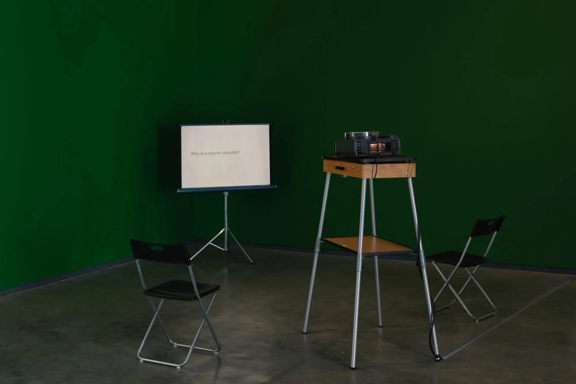  The Long Grass  (2022–2024). Installation view, The MAC, Belfast