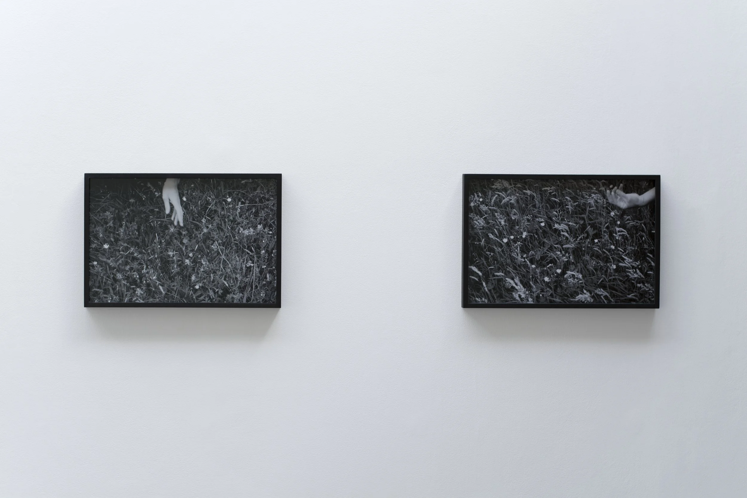 Christopher Steenson, left to right:  Meadow Demonstration 1 , 2025, pigment print on archival photopaper from 35mm positive. Edition of 3 + 2AP;  Meadow Demonstration 2 , 2025, pigment print on archival photopaper from 35mm positive. Edition of 3 + 