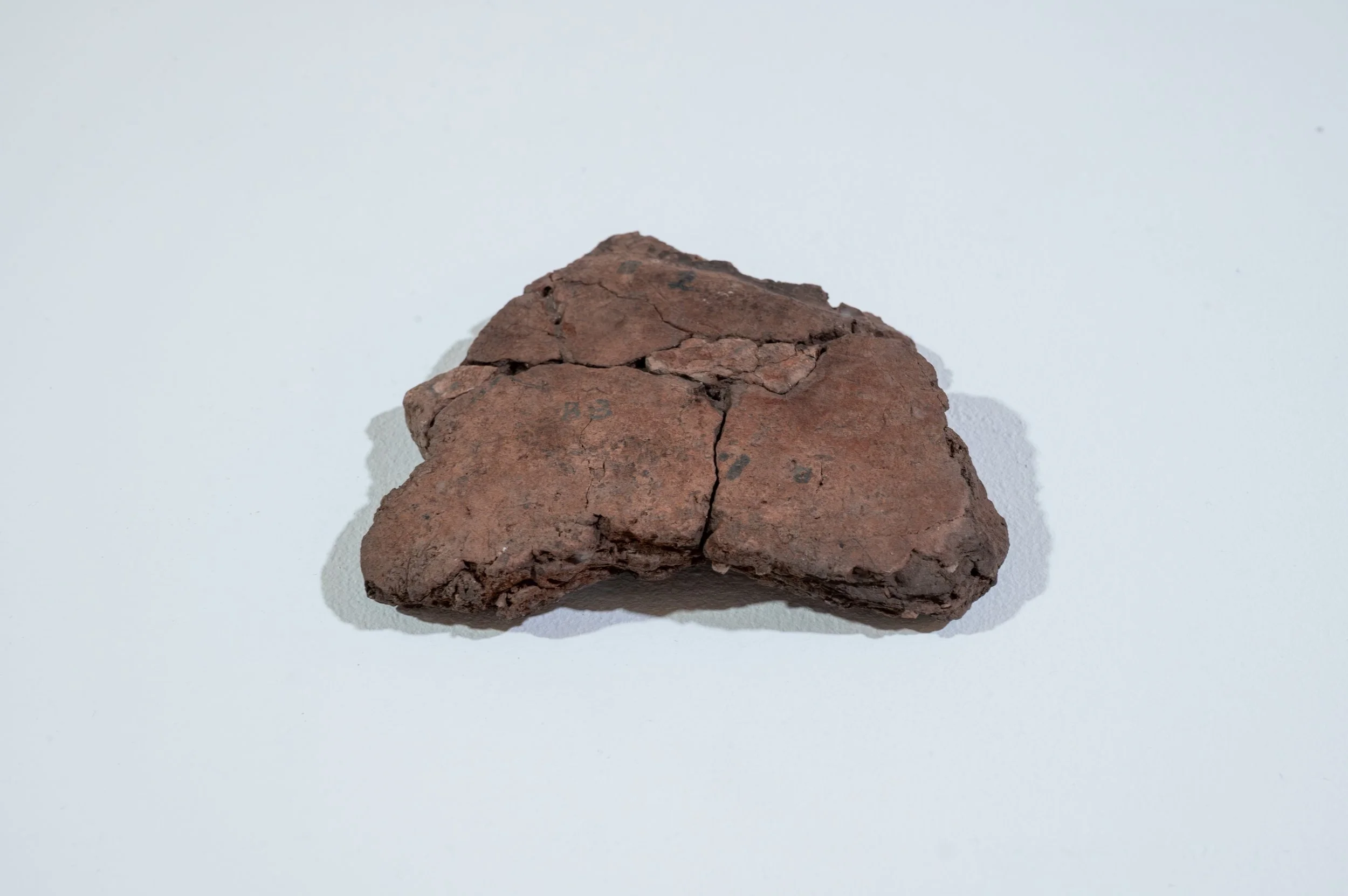 Artefacts from Beaghmore Stone Circles and Alignments, Co. Tyrone. On loan from collections at National Museums NI. Photo: Paola Bernardelli. 