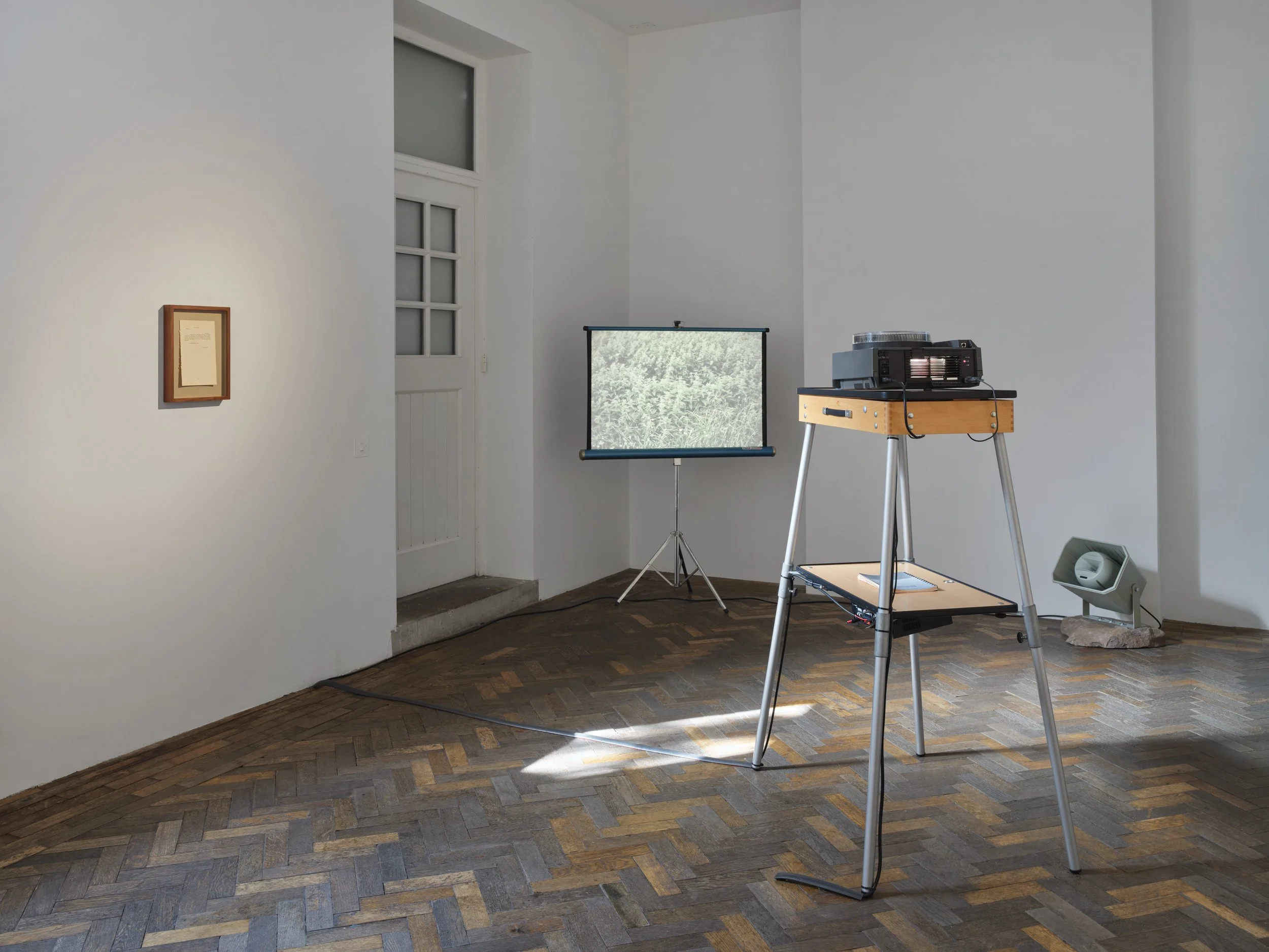 Christopher Steenson,  The Long Grass , 2022–24, 35mm slides, slide projector, vintage portable projection screen and projection table, timing system, amplifier, horn speaker, carved field stone, cabling. Dimensions variable. Duration: 5 minutes 49 s