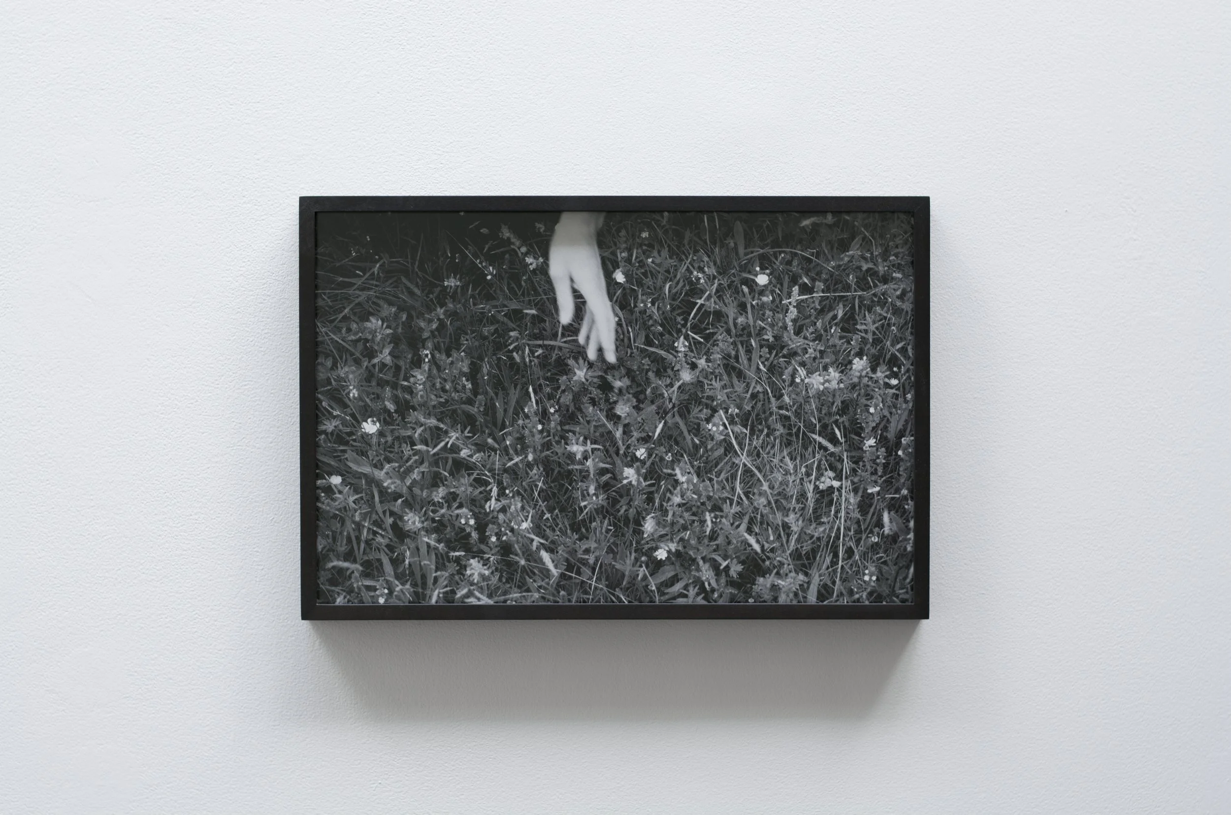Christopher Steenson,  Meadow Demonstration 1 , 2025, pigment print on archival photopaper from 35mm positive. 33.3 x 50cm (35 x 52cm framed) Edition of 3 + 2AP. Installation view, ‘They haven’t gone away you know’, mother’s tankstation, Dublin, Irel