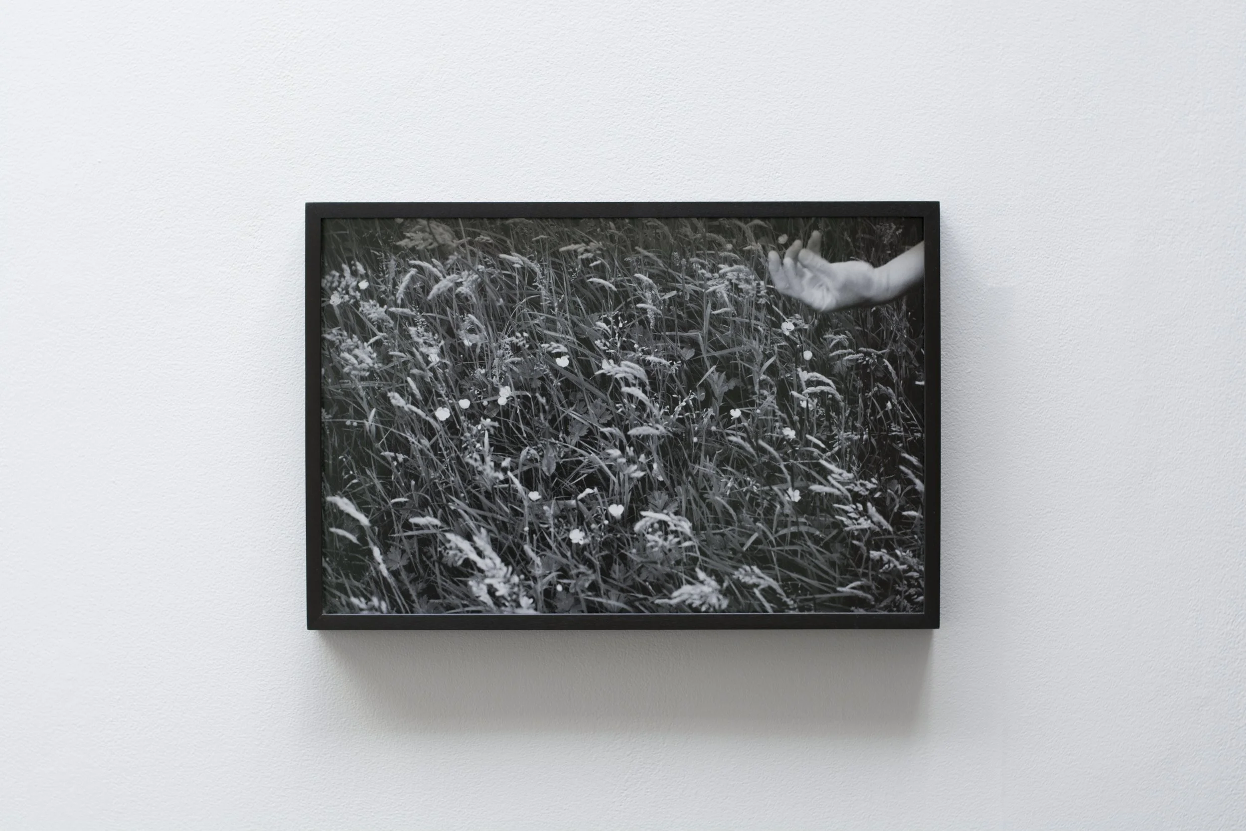 Christopher Steenson,  Meadow Demonstration 2 , 2025, pigment print on archival photopaper from 35mm positive. 33.3 x 50cm (35 x 52cm framed) Edition of 3 + 2AP. Installation view, ‘They haven’t gone away you know’, mother’s tankstation, Dublin, Irel