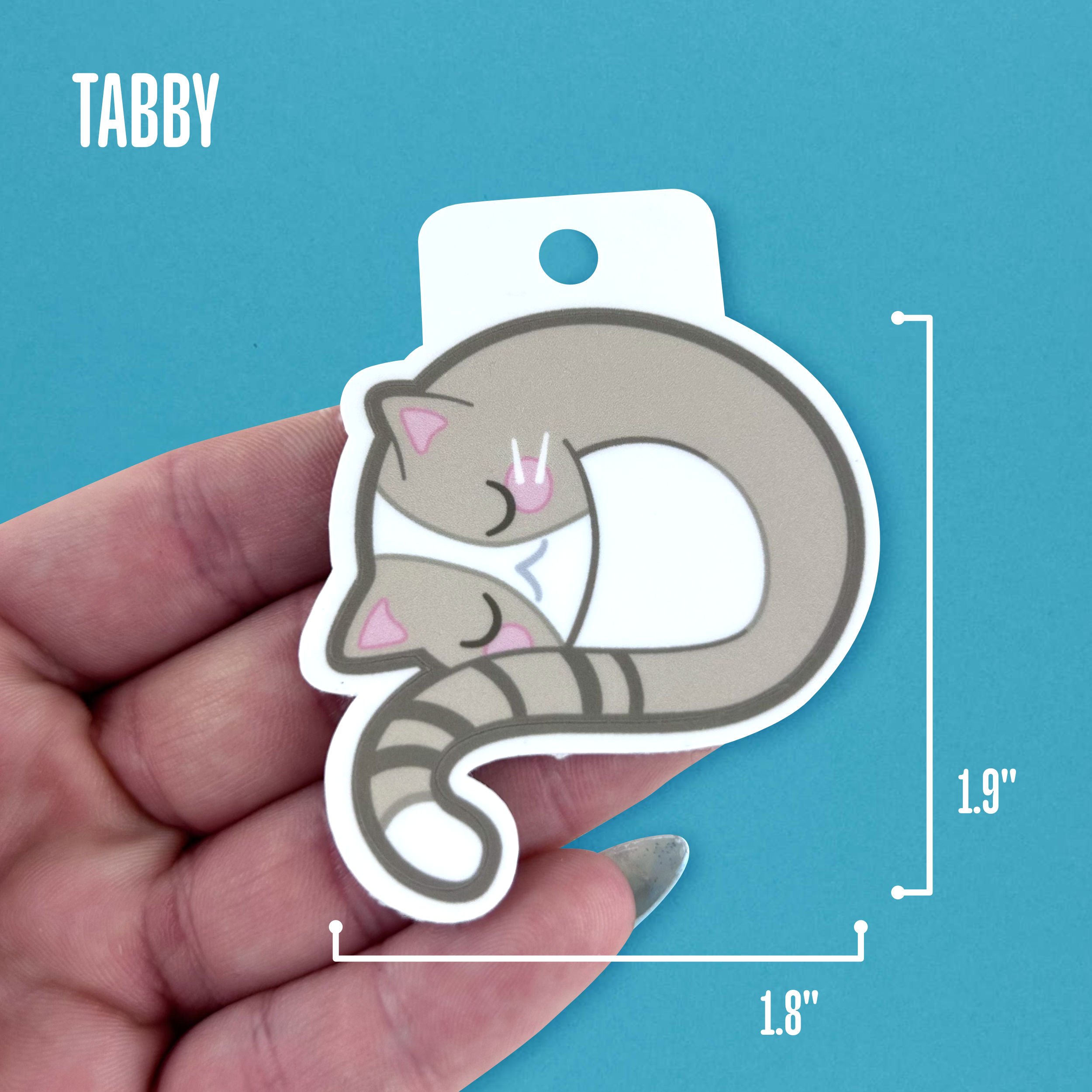Clarissa Sticker in Hand Tabby.jpg